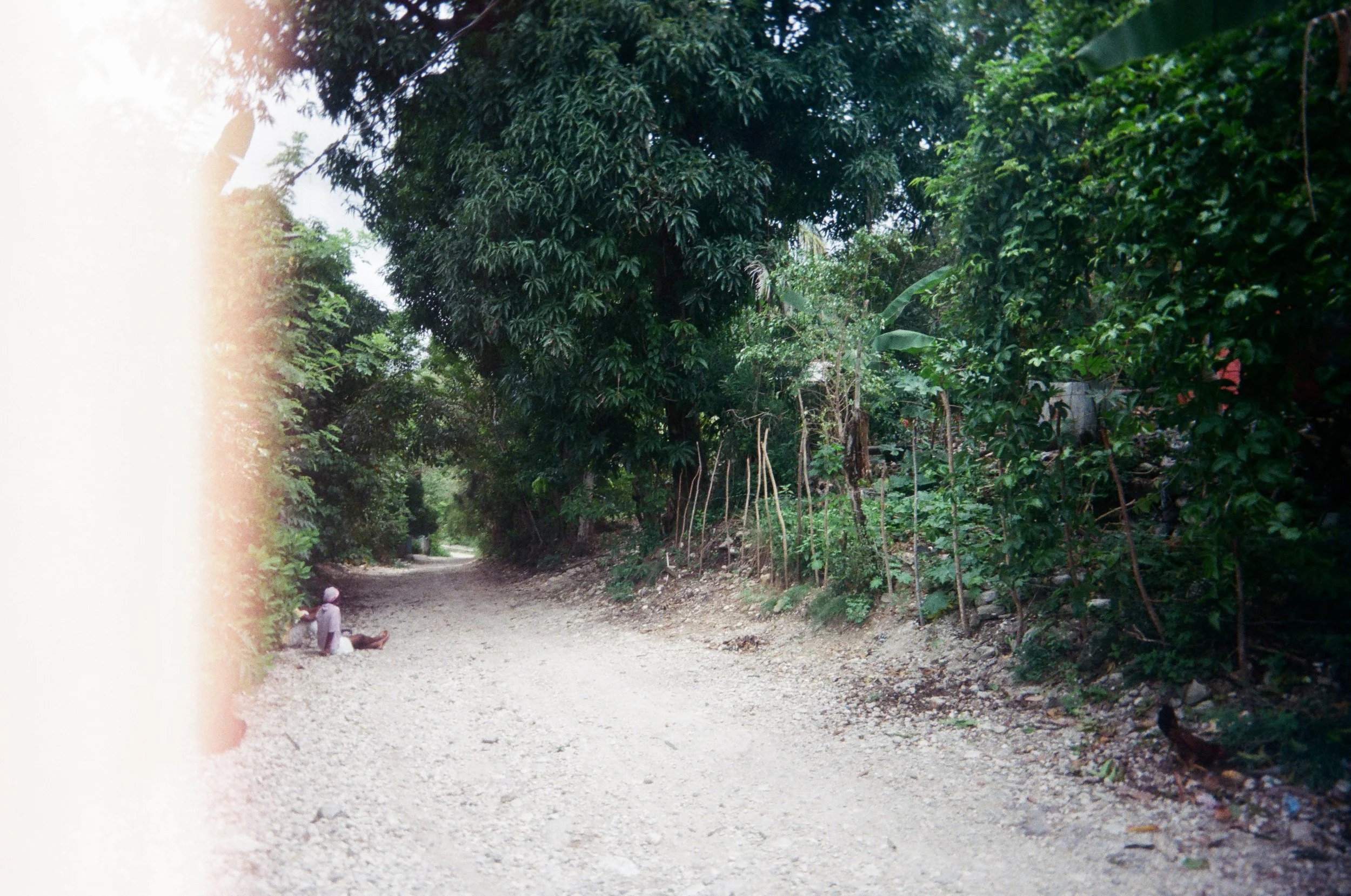 Photo by Axelle Baril