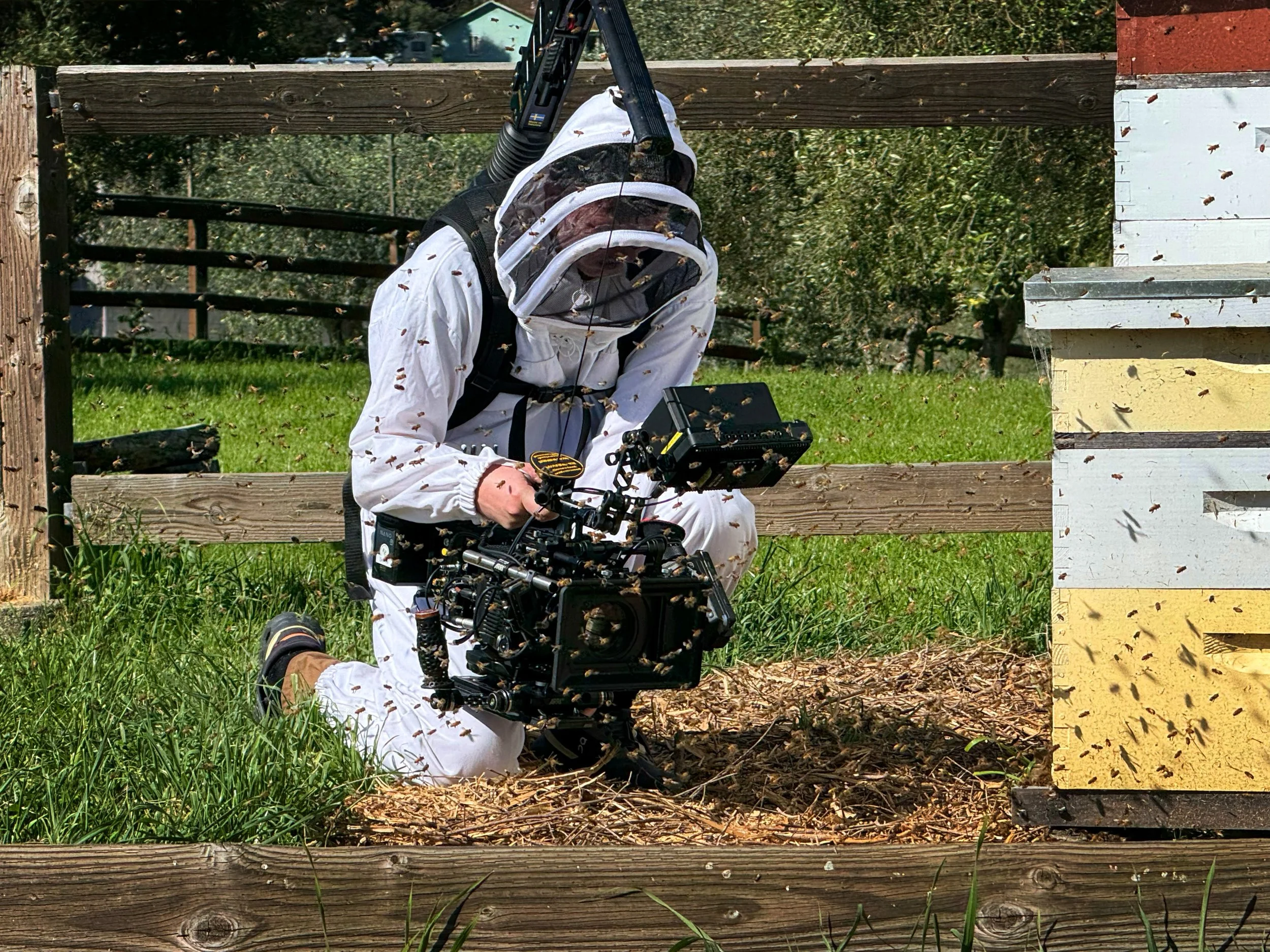 Cinematographer Ethan Swope in white protective suit with a bee veil, filming a beekeeping hive, surrounded by bees on their suit and the hive, while on location for a Heidrun Meadery film for Visit Marin.