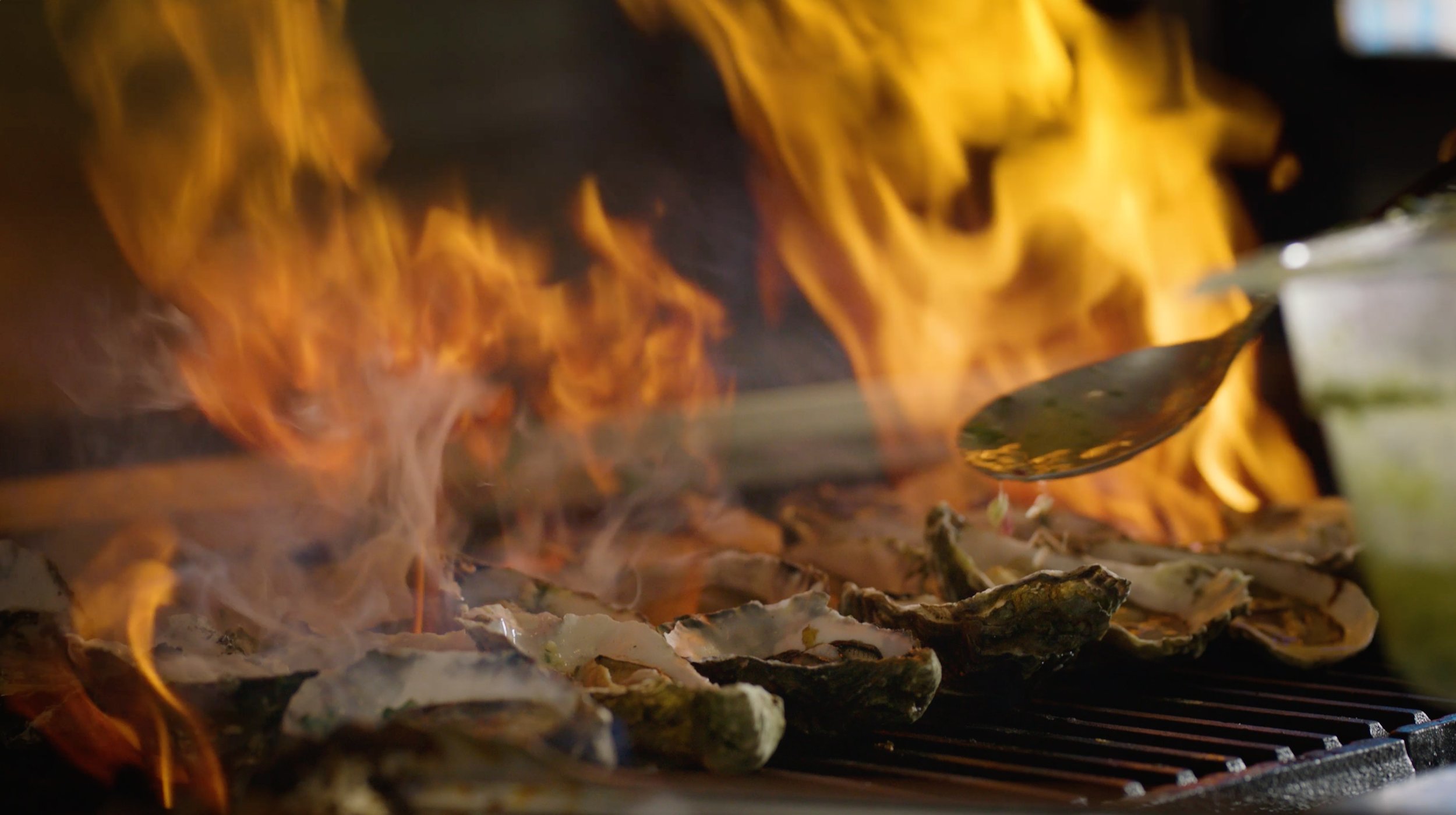 Culinary Marin  |  Campaign