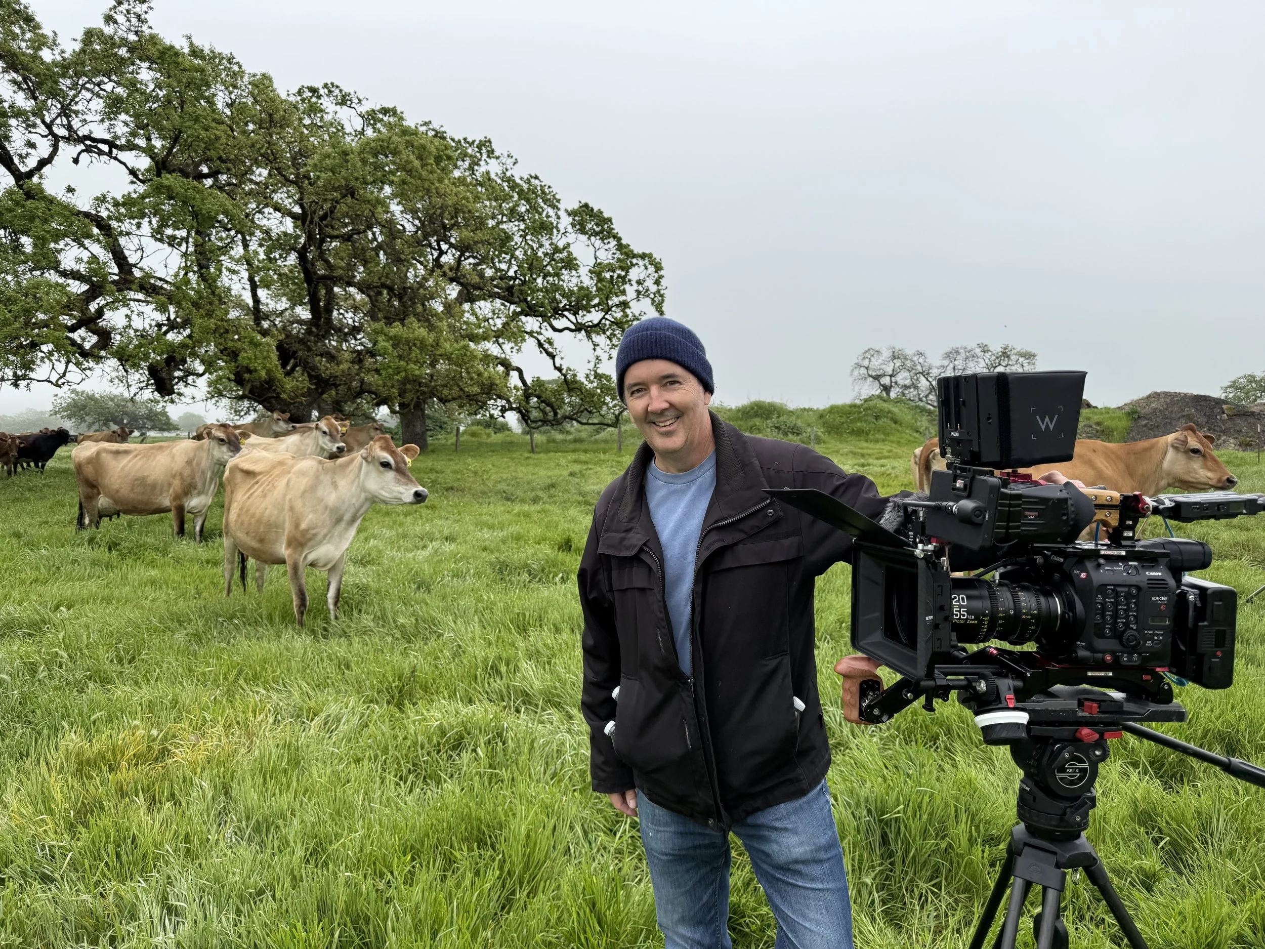 Swope Films director David Swope on location for a Clover milk shoot in a grassy field with cows and large trees.
