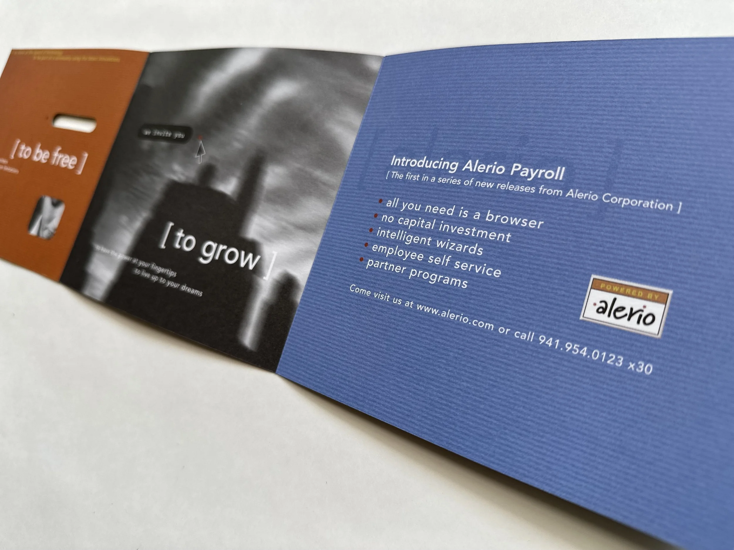 Brochure copy and design for Alerio Corporation by Carol King