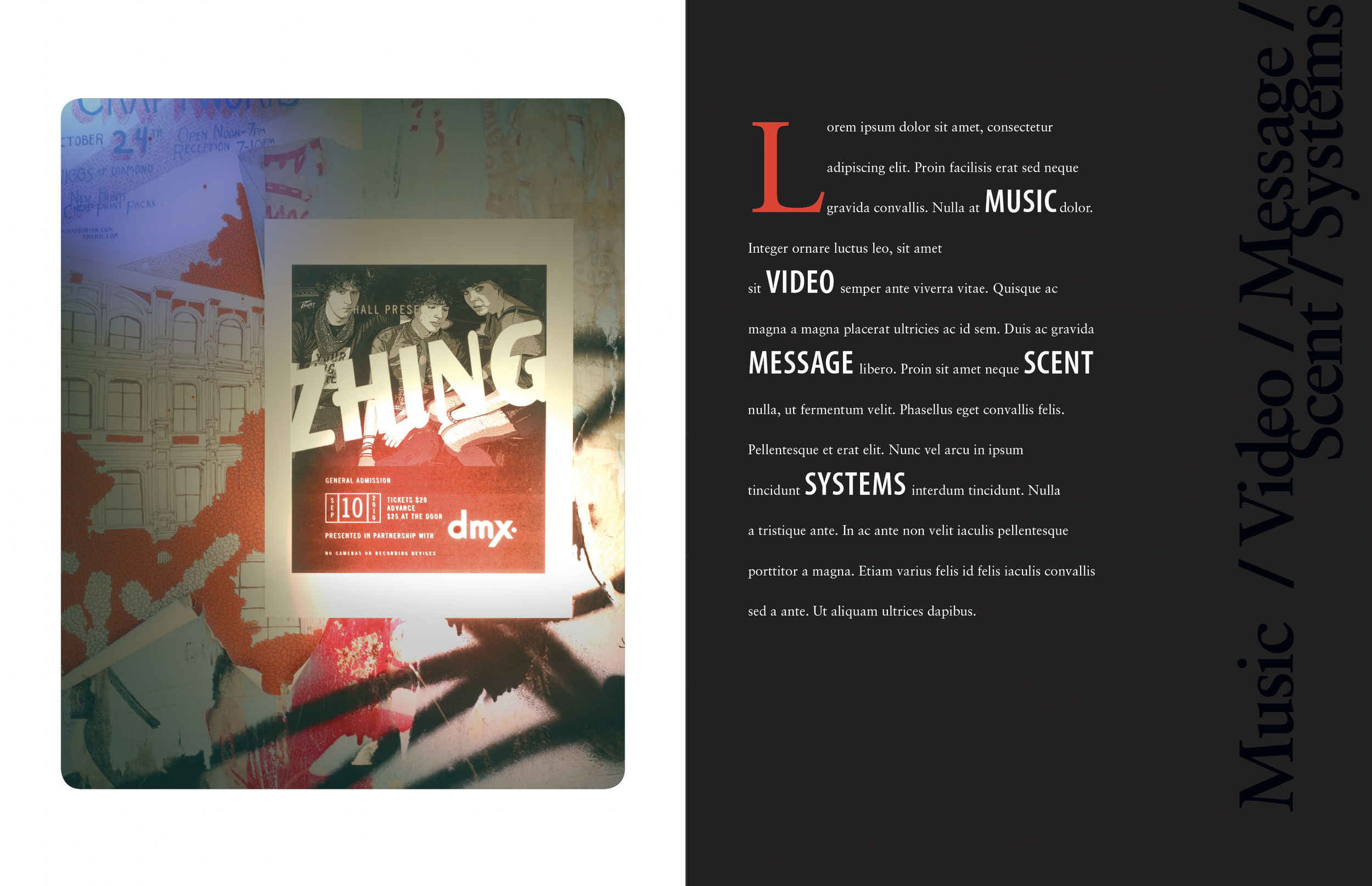DMX corporate brochure