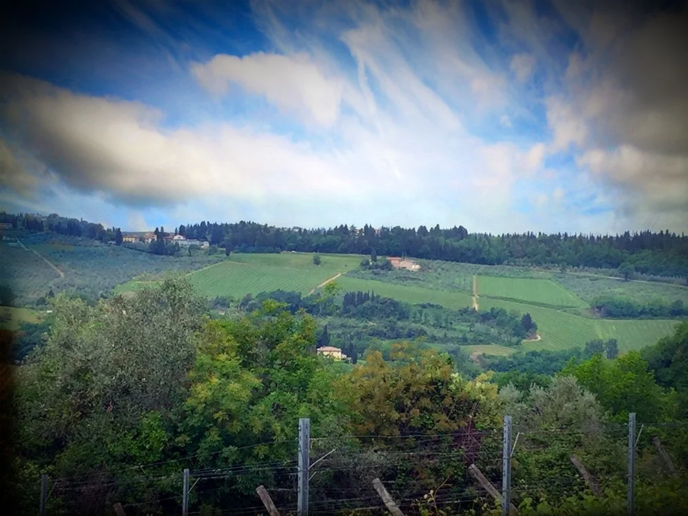 The Corzano e Paterno vineyard in Tuscany