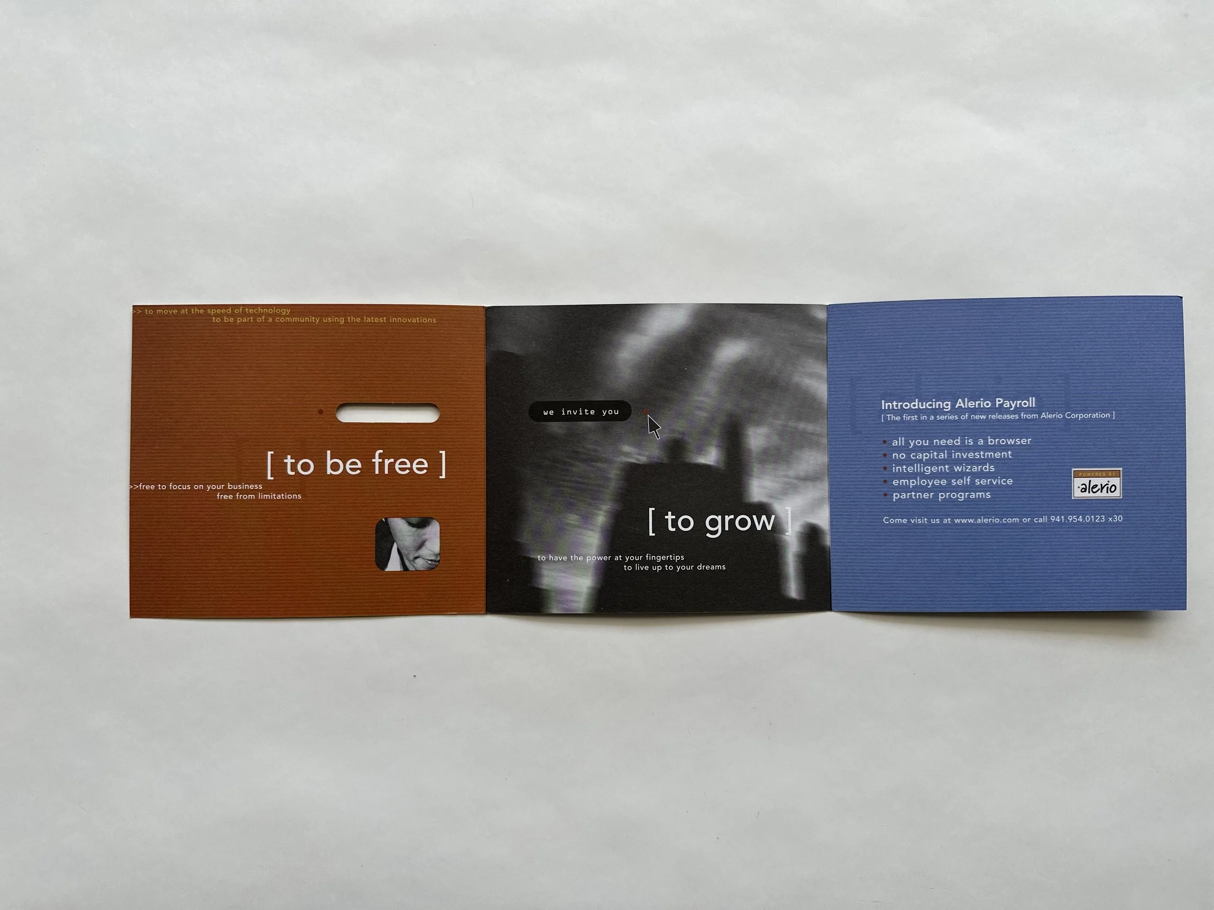 Brochure copy and design for Alerio Corporation by Carol King