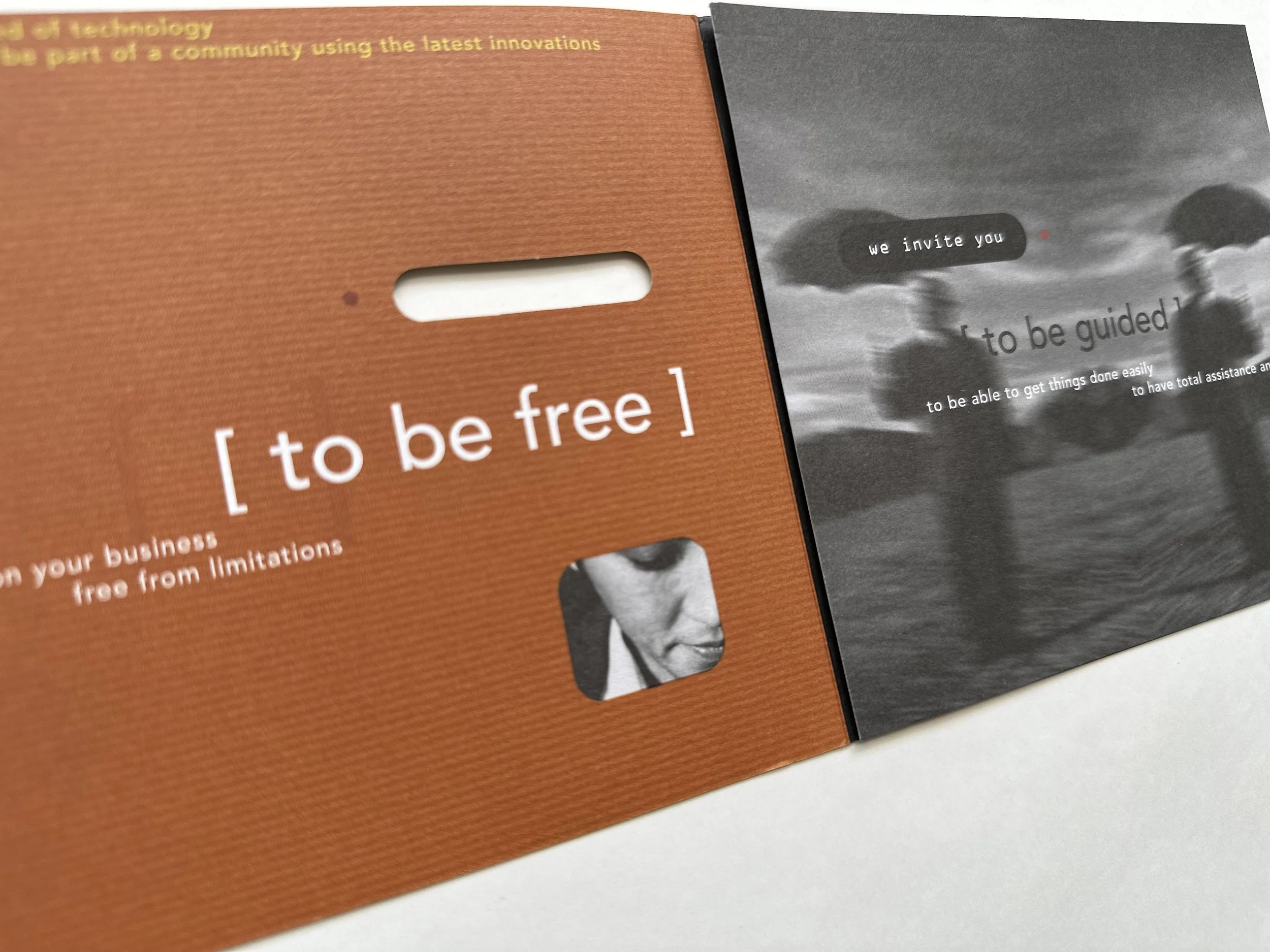 Brochure copy and design for Alerio Corporation by Carol King