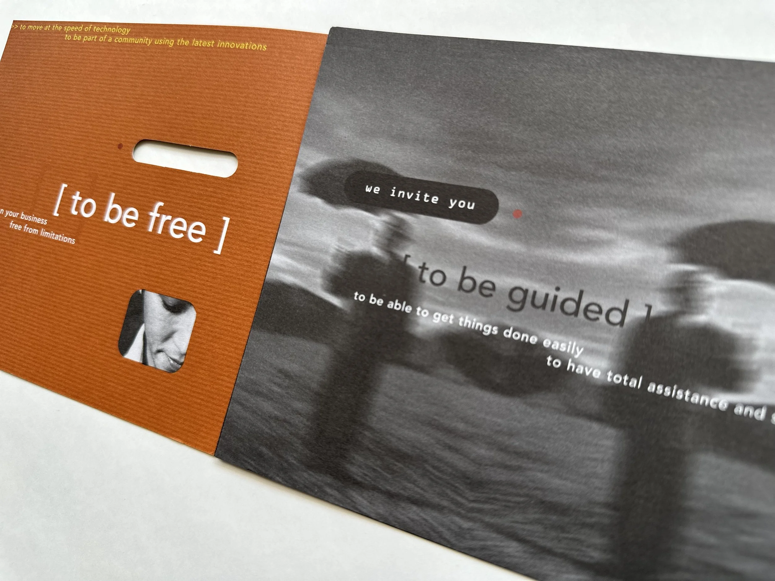 Brochure copy and design for Alerio Corporation by Carol King