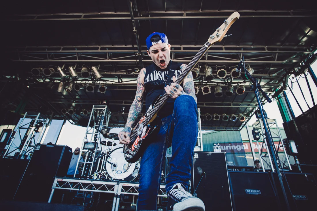 THE AMITY AFFLICTION