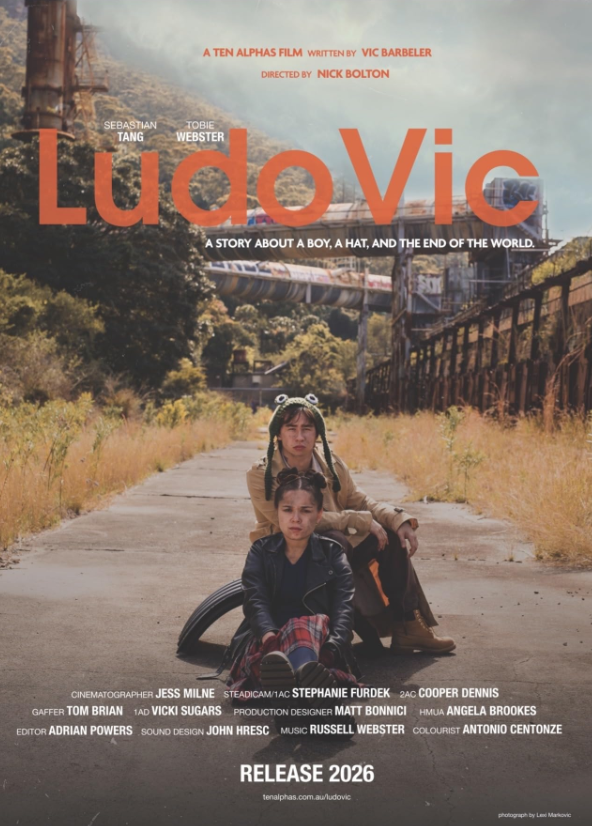 LudoVIC