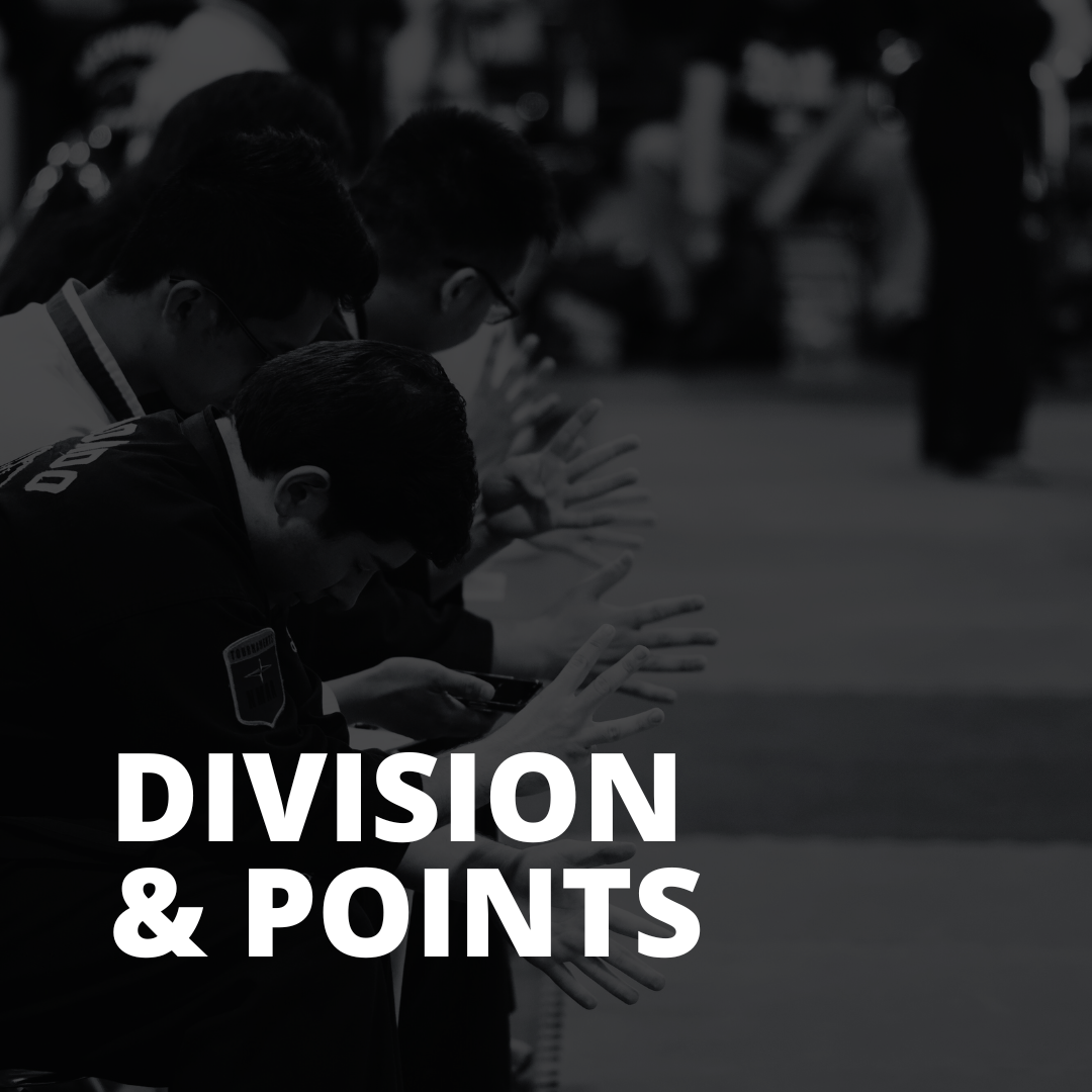 Standings — National Martial Arts Alliance