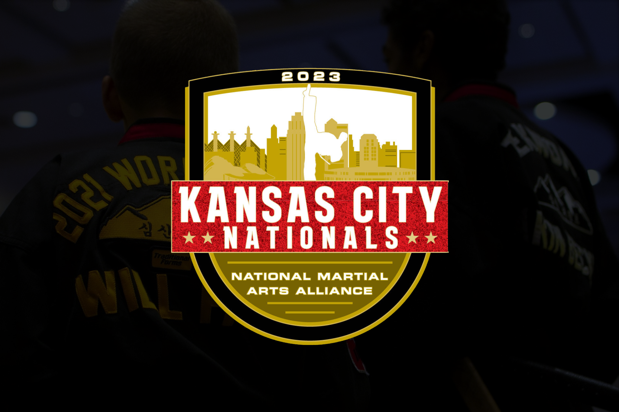 National Martial Arts Alliance