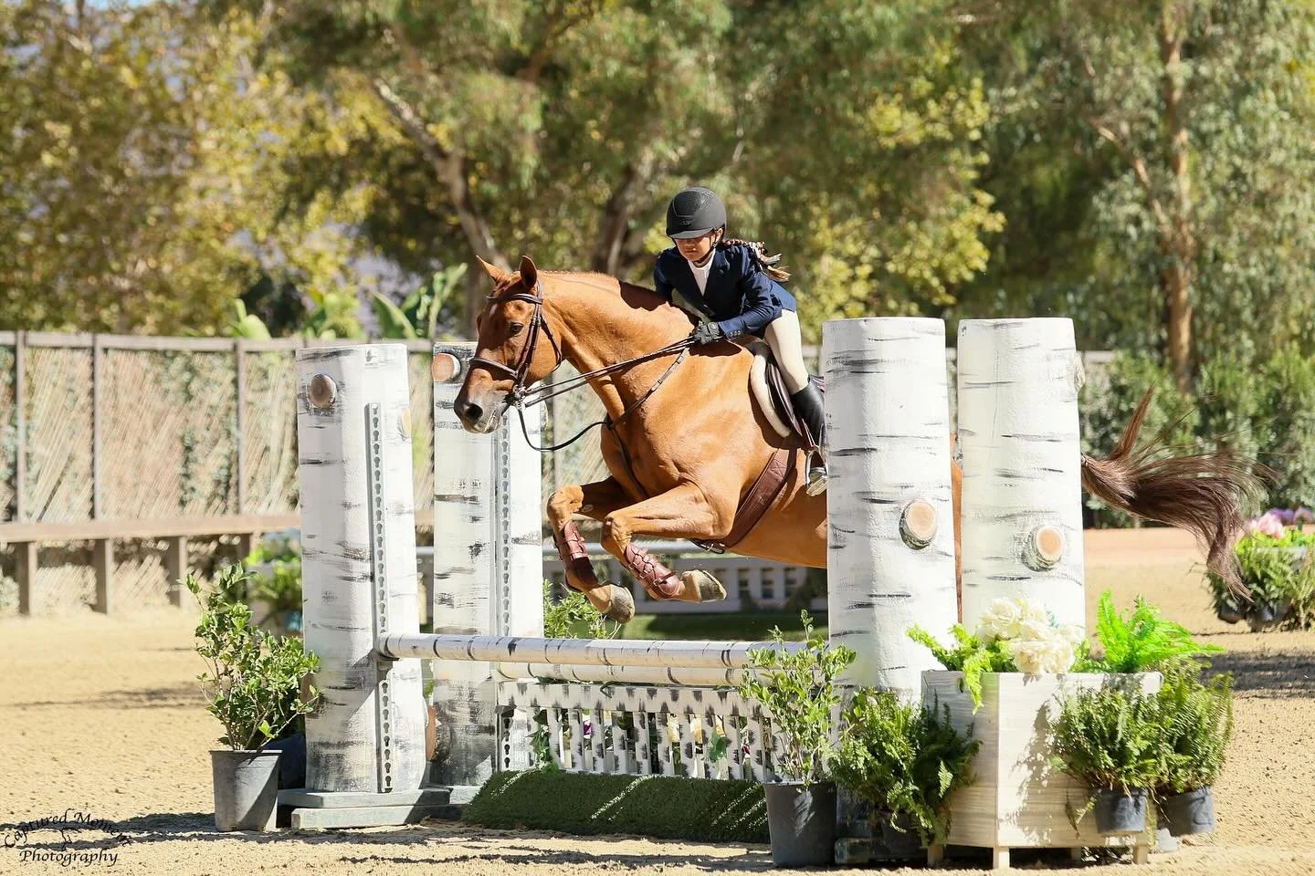 Still reminiscing over this moment. We&rsquo;re so grateful to David and @durangofarms for the opportunity to lease Edelster and compete in the CPHA Medal Finals. Thank you for making this possible! A dream come true🐴🏆