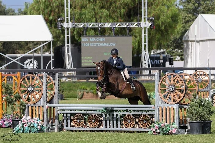 ✨🐴 Bittersweet moment! One of our amazing riders, Mia, is off to start a brand new adventure @northeastern University. We&rsquo;ve loved watching her grow in and out of the saddle, and we know she&rsquo;ll carry the same dedication, grit, energy, an