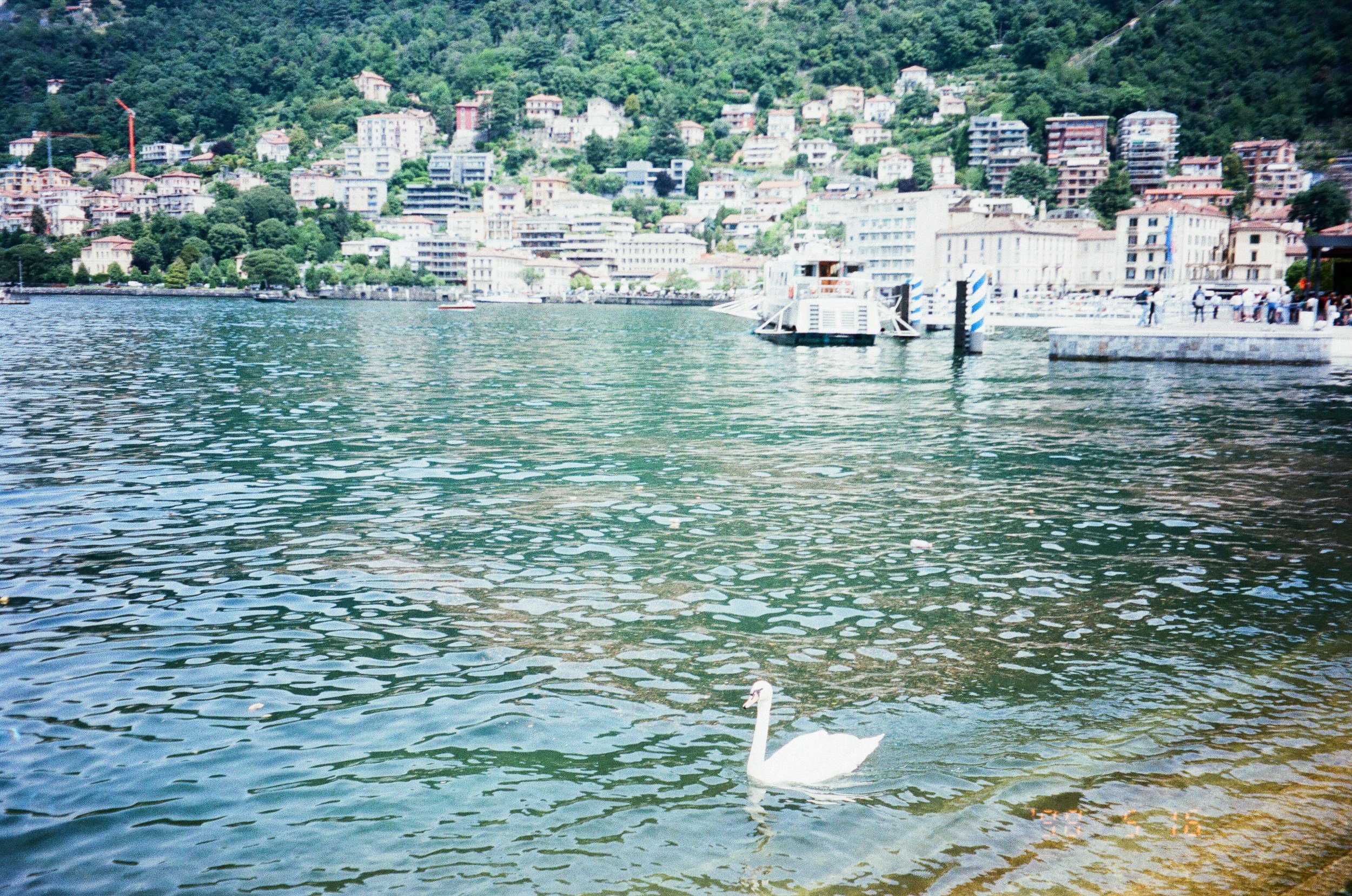IMG_2685.JPG