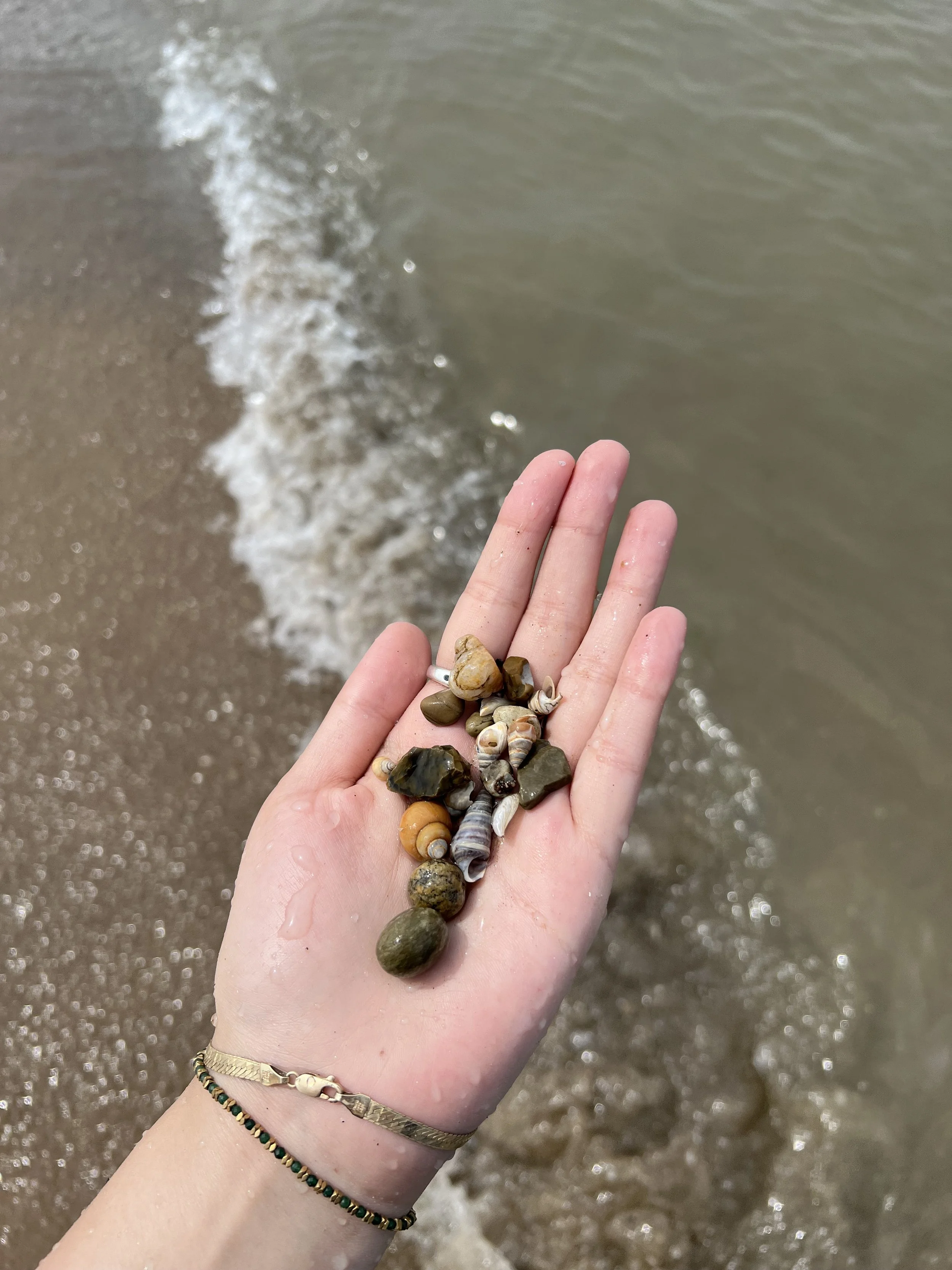 IMG_5754.jpeg