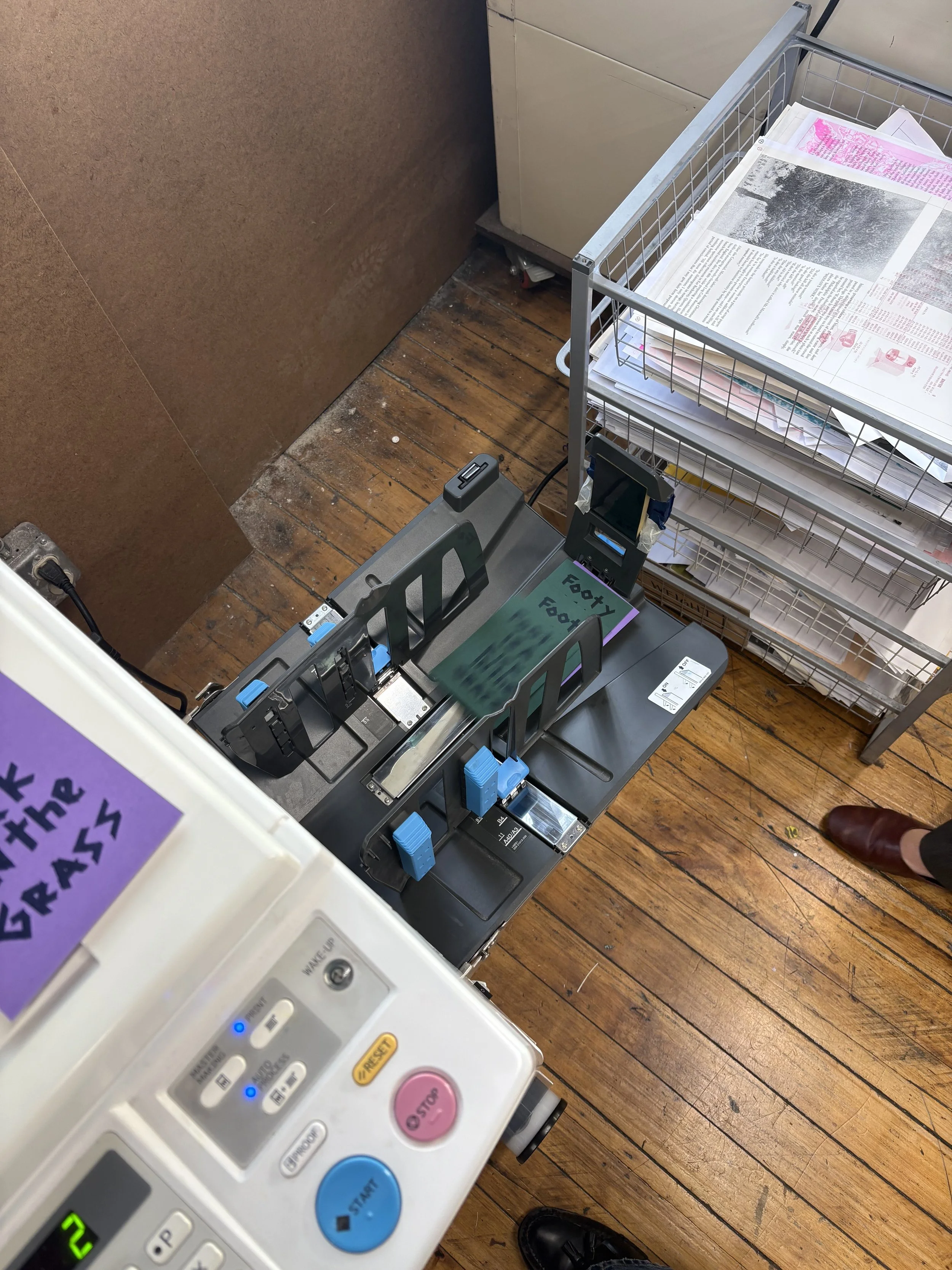 IMG_3992.jpeg