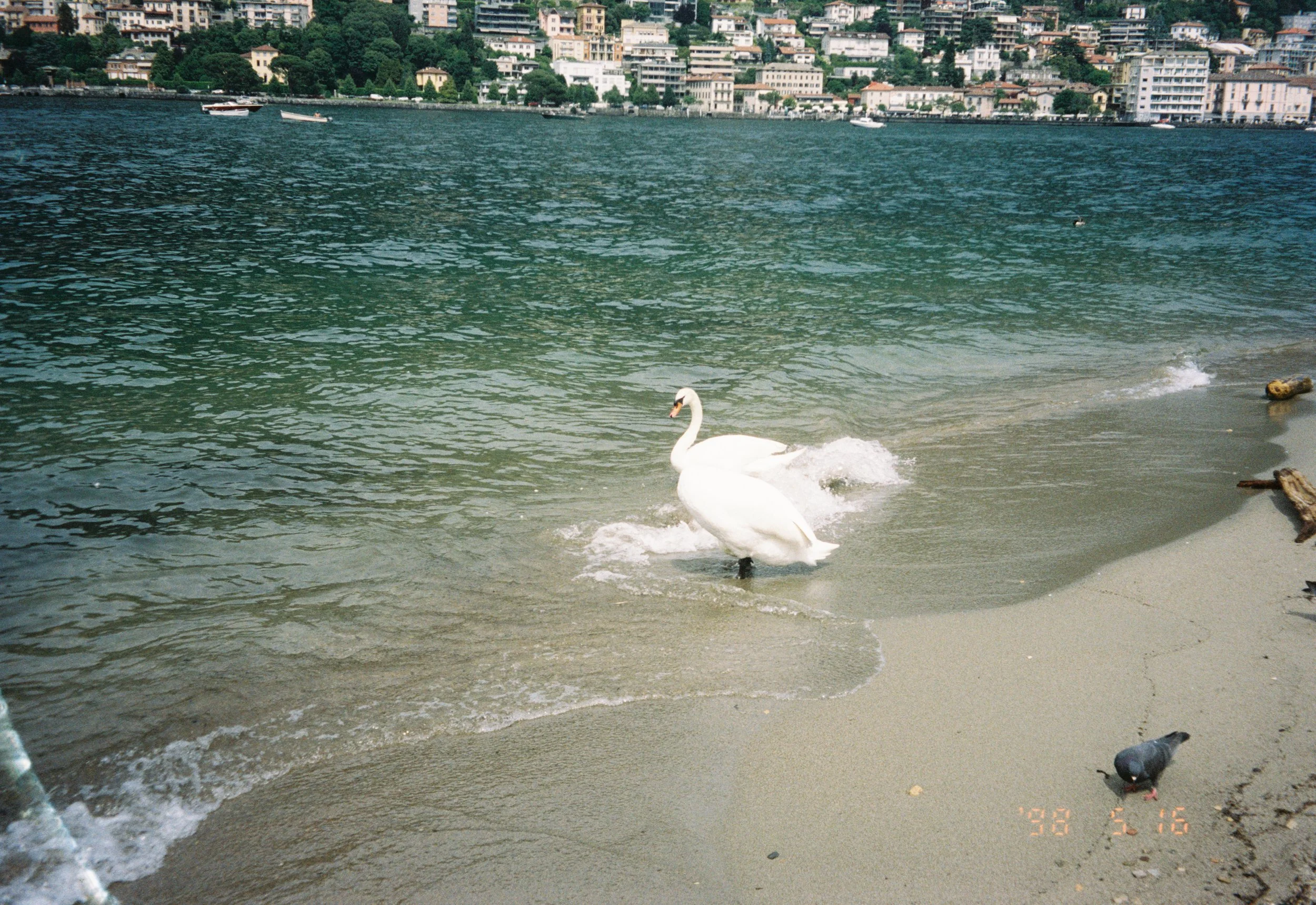 IMG_3187.JPG