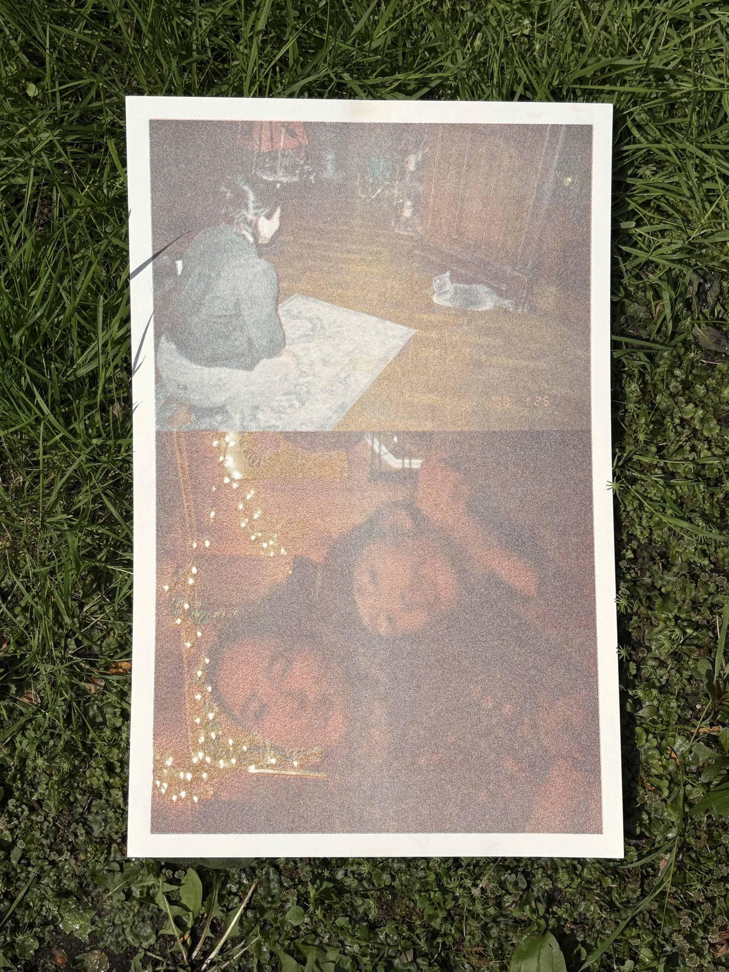 IMG_2586 2.jpeg