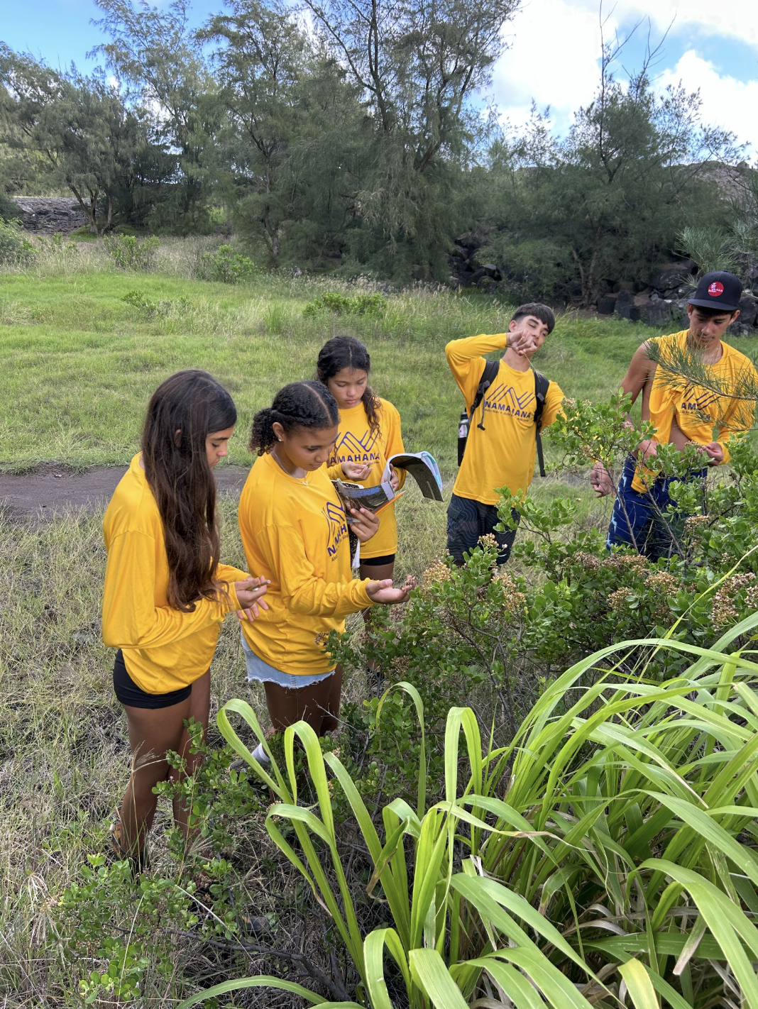 PLANT IDENTIFICATION 10:26.png