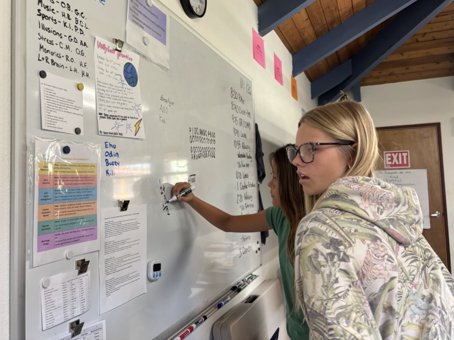 Student Learning Snapshots