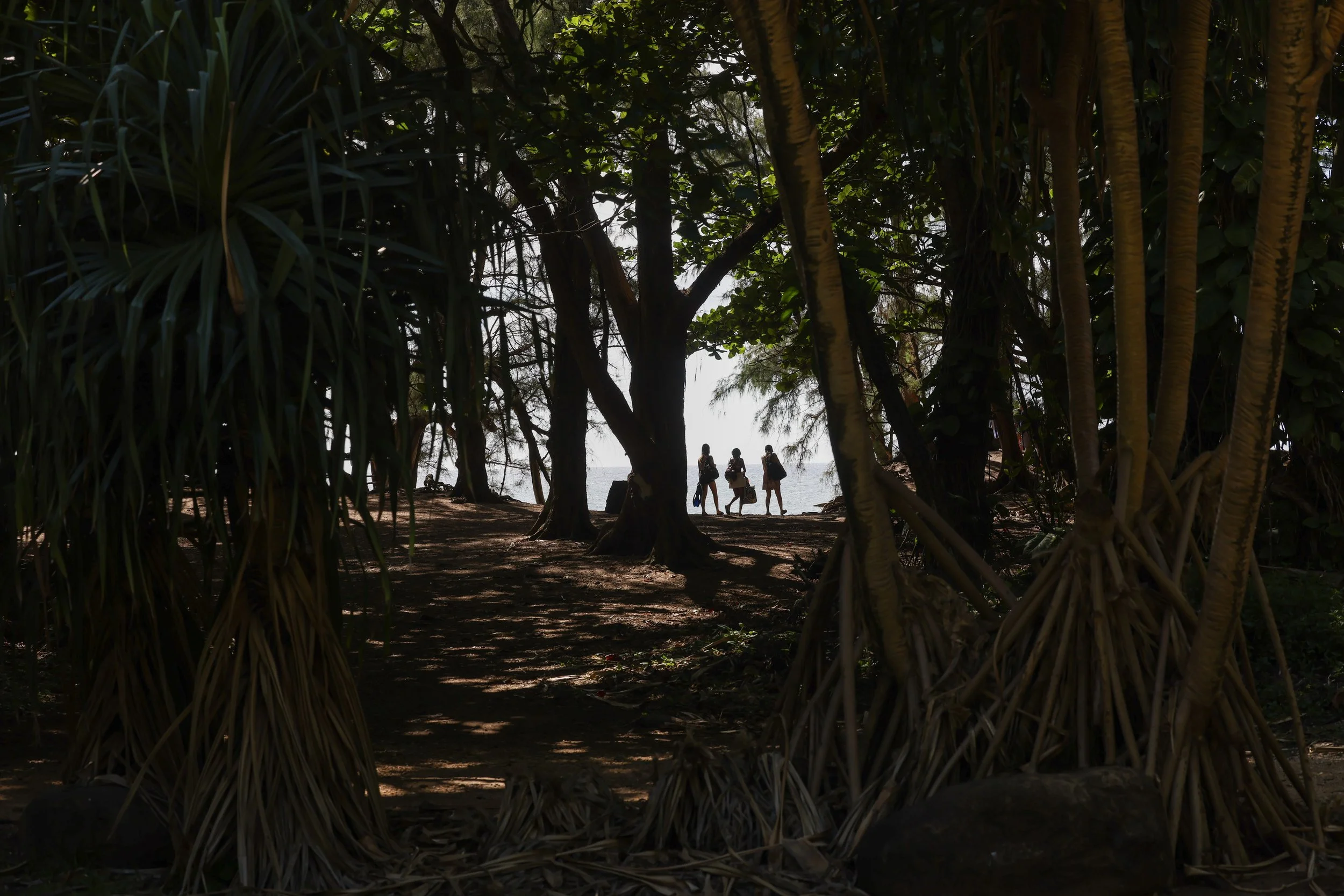 Photo cred Owen K Purcell