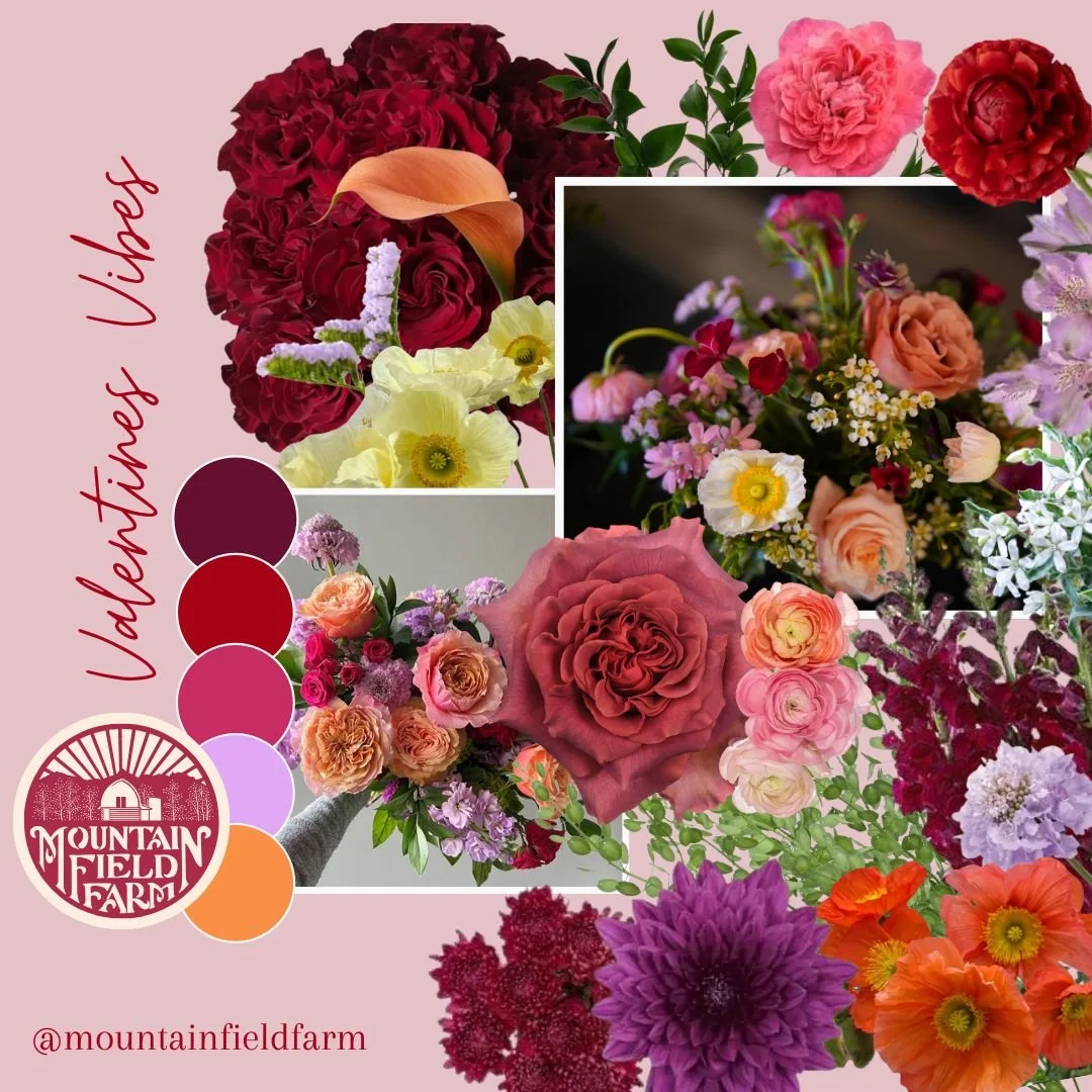 SOCIAL Square (16).jpg