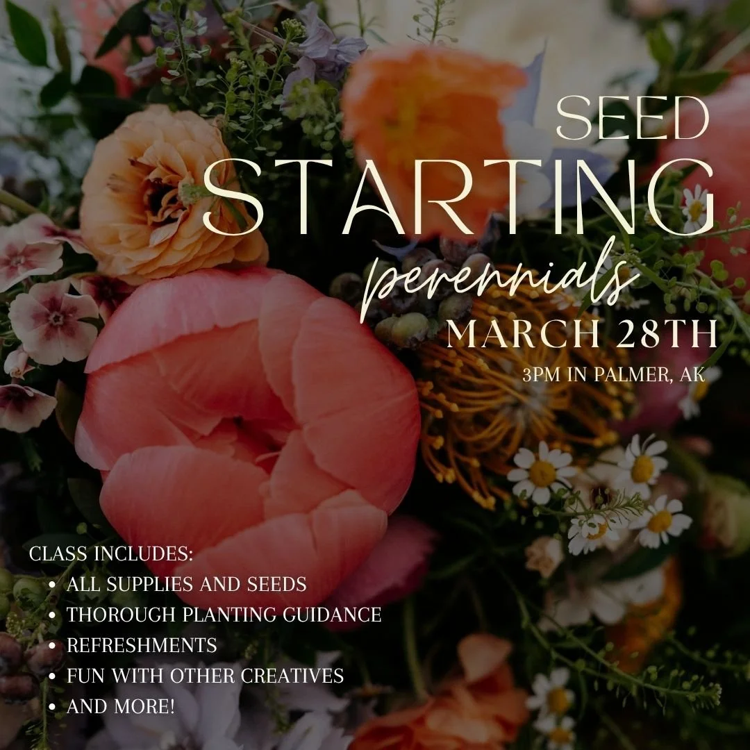 Perennial Gardening Made Simple March 28th 3pm