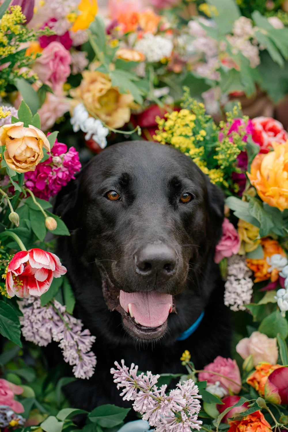 Aikey-Wedding-2025-423.jpeg