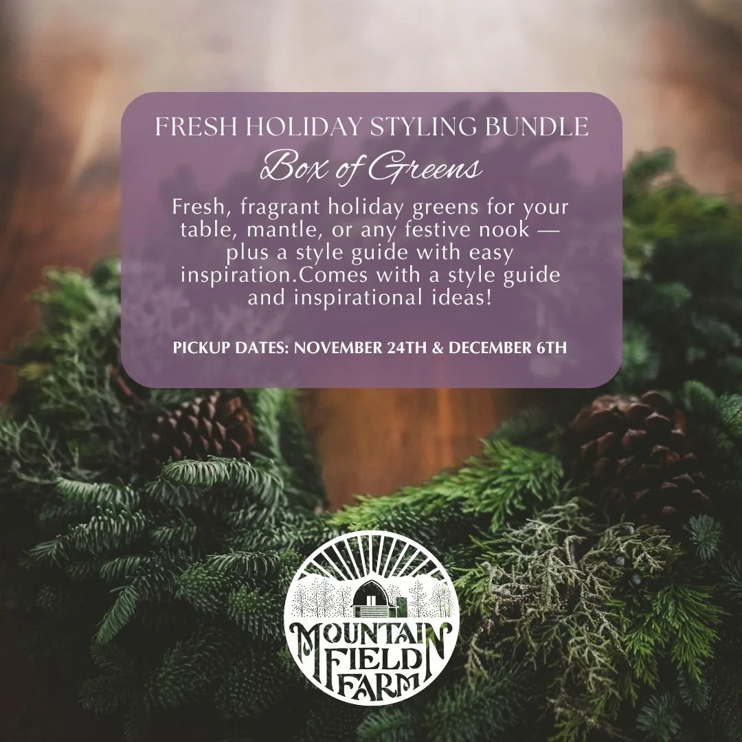 SOCIAL Square (14).jpg