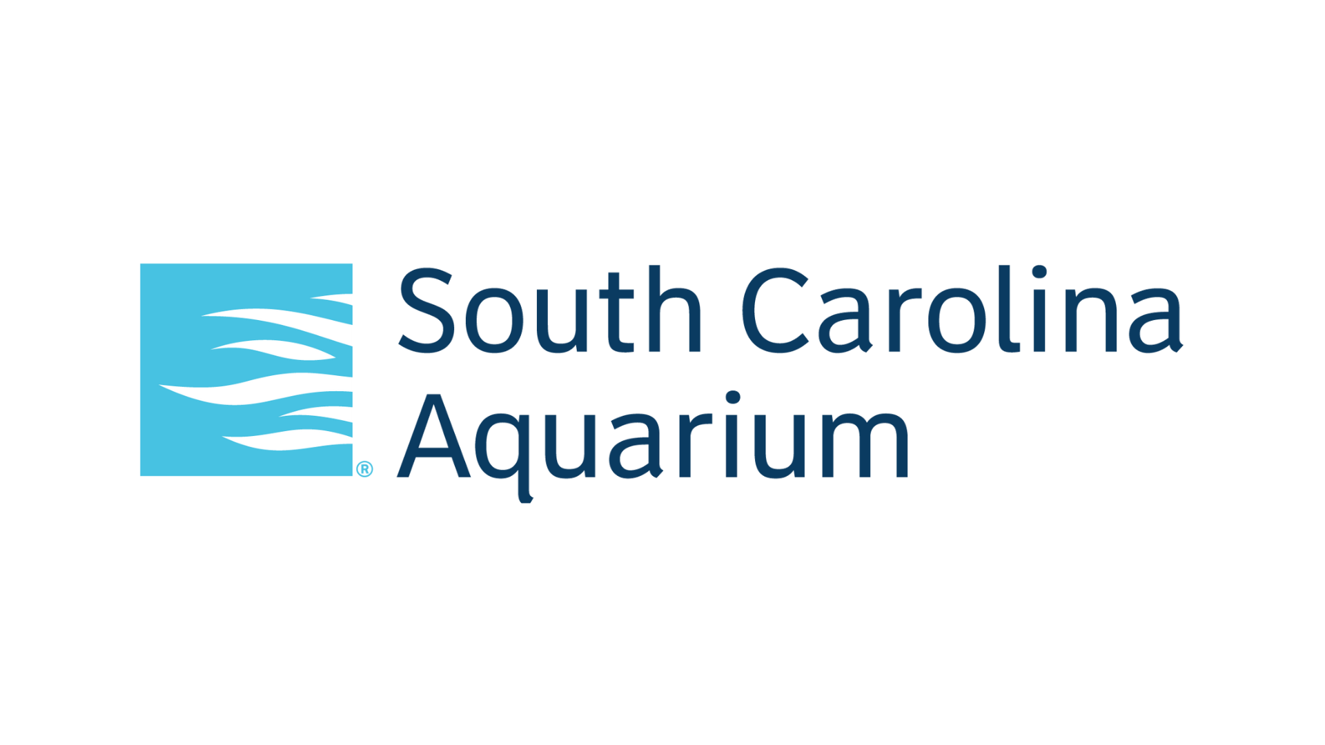 14 Summer Internships for High School Students in South Carolina
