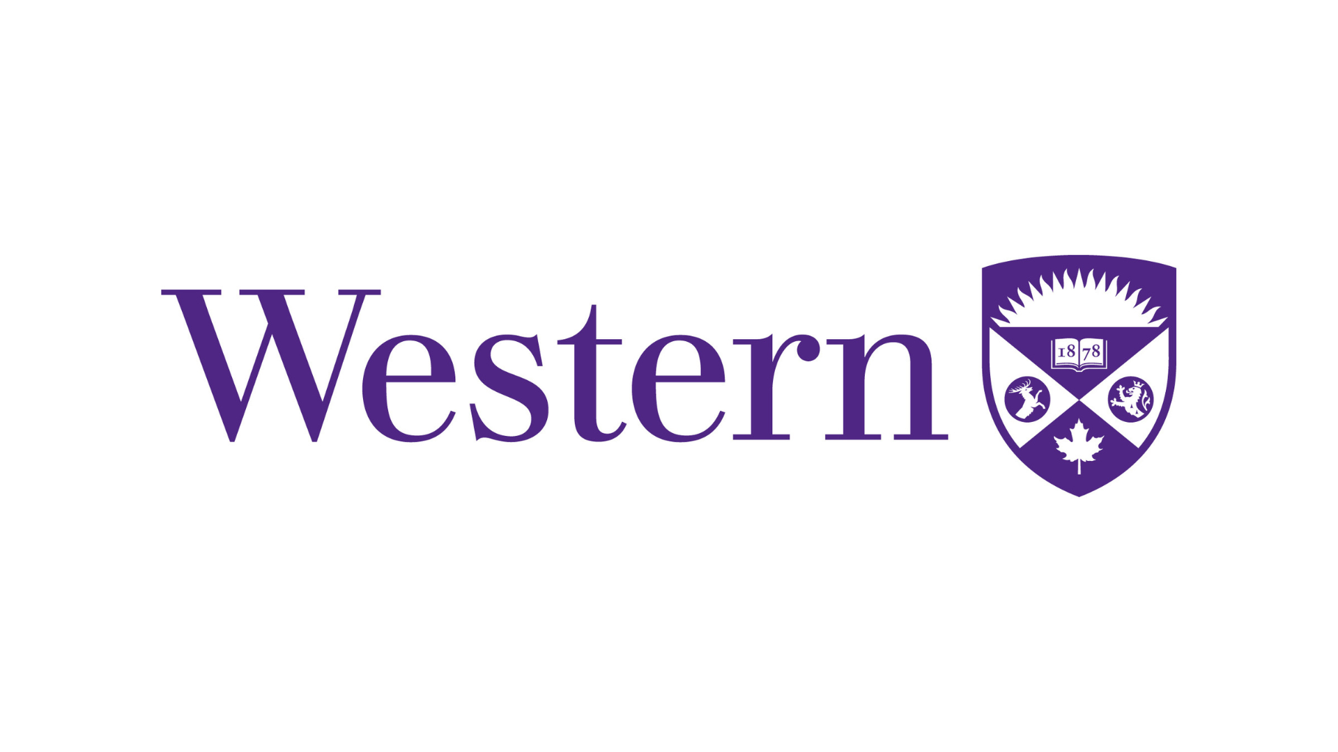 15 Sociology Internships for Undergraduates