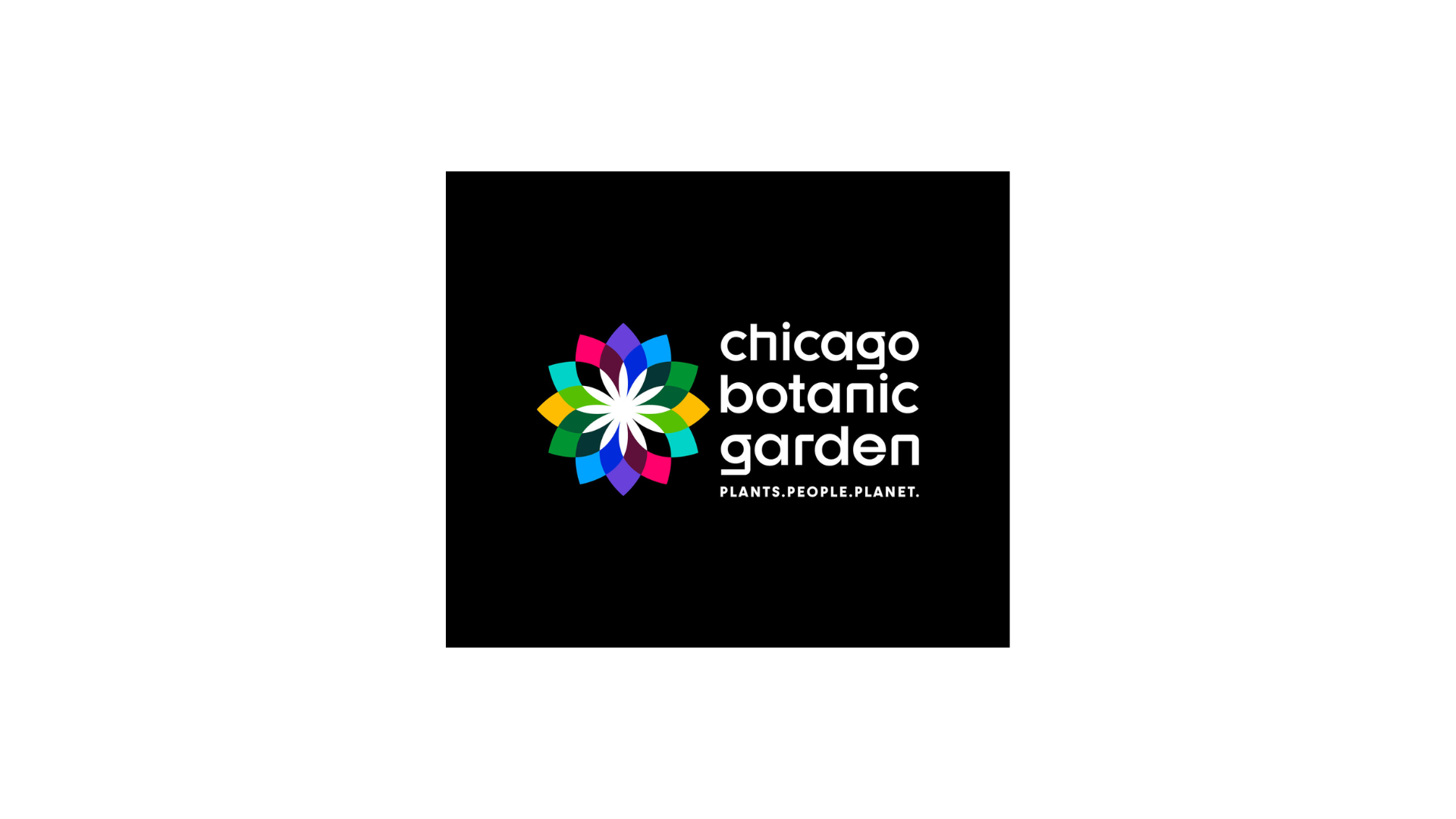 15 Technology Internships for High School Students in Illinois