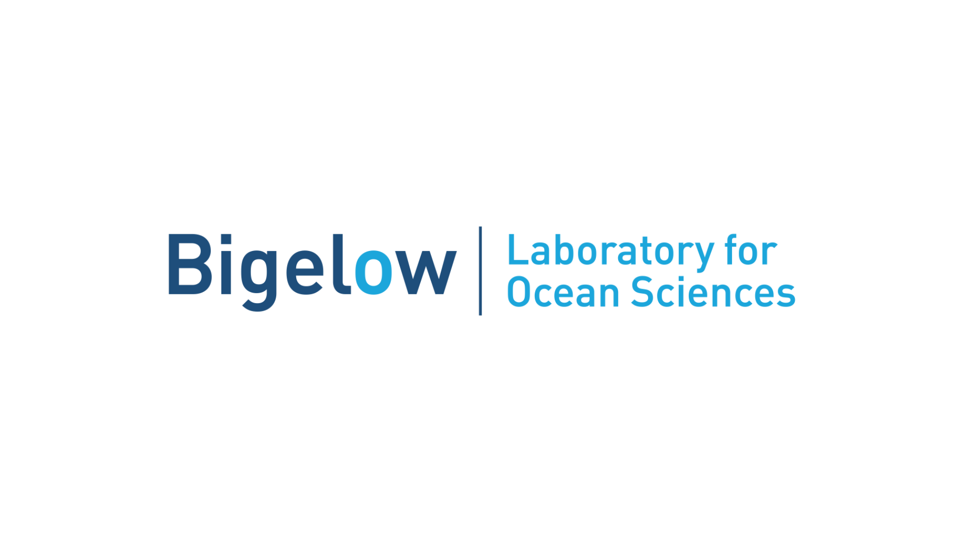 15 STEM Internships for Undergraduates in Maine
