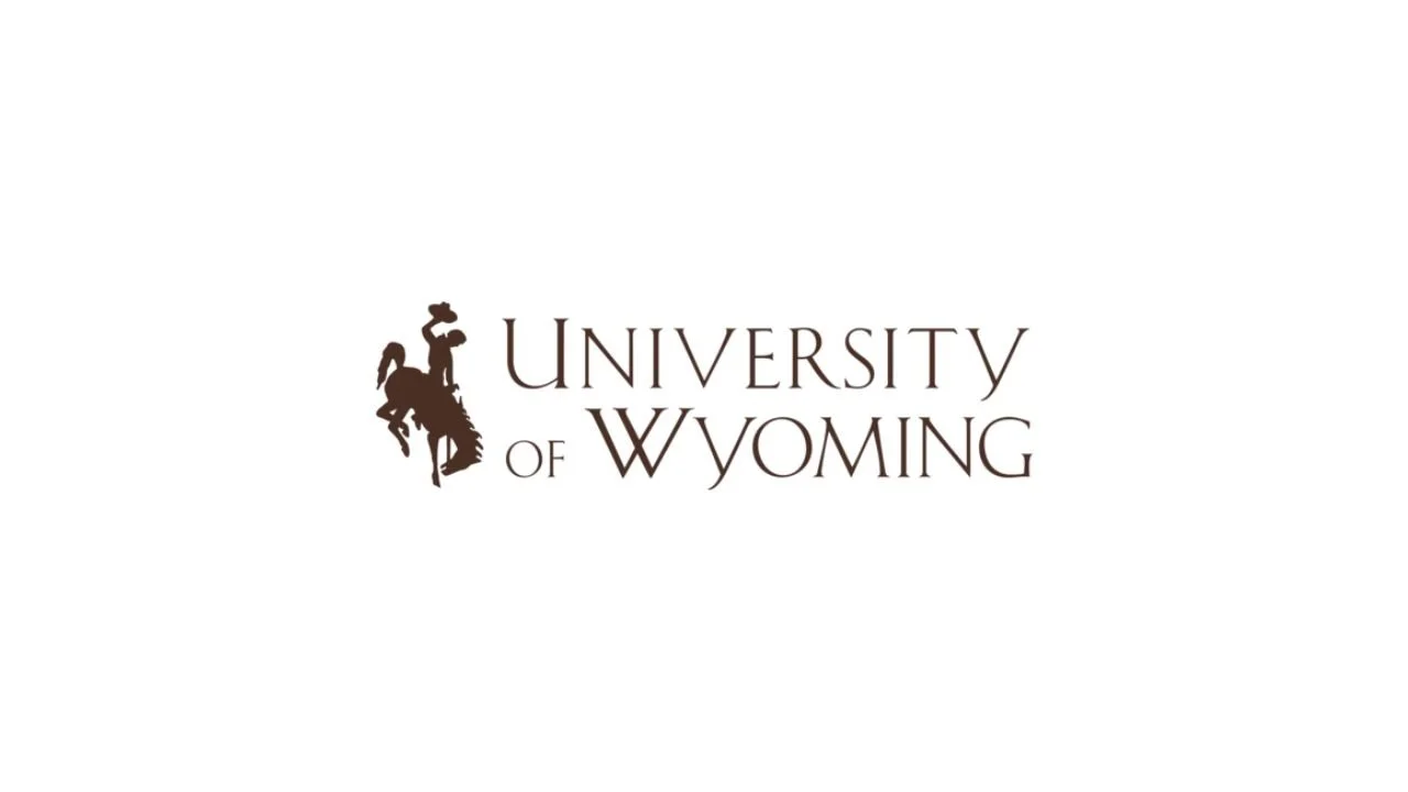 12 Business Internships for Undergraduates in Wyoming
