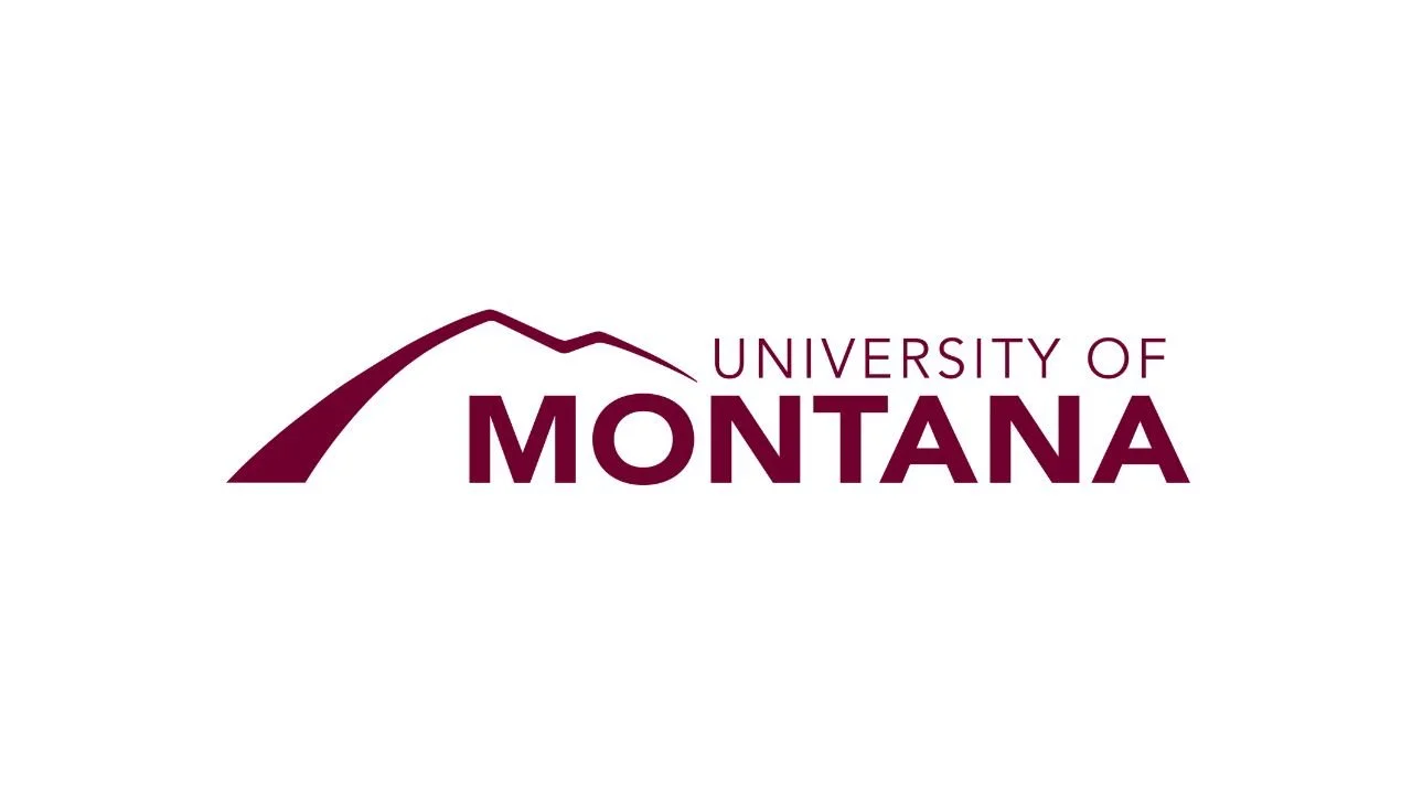 15 Consulting Internships for High School Students in Montana