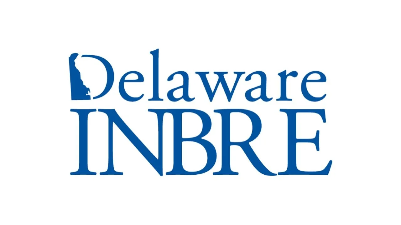 15 Internships for College Students in Delaware