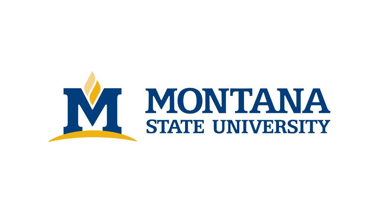15 Business Internships for Undergraduates in Montana