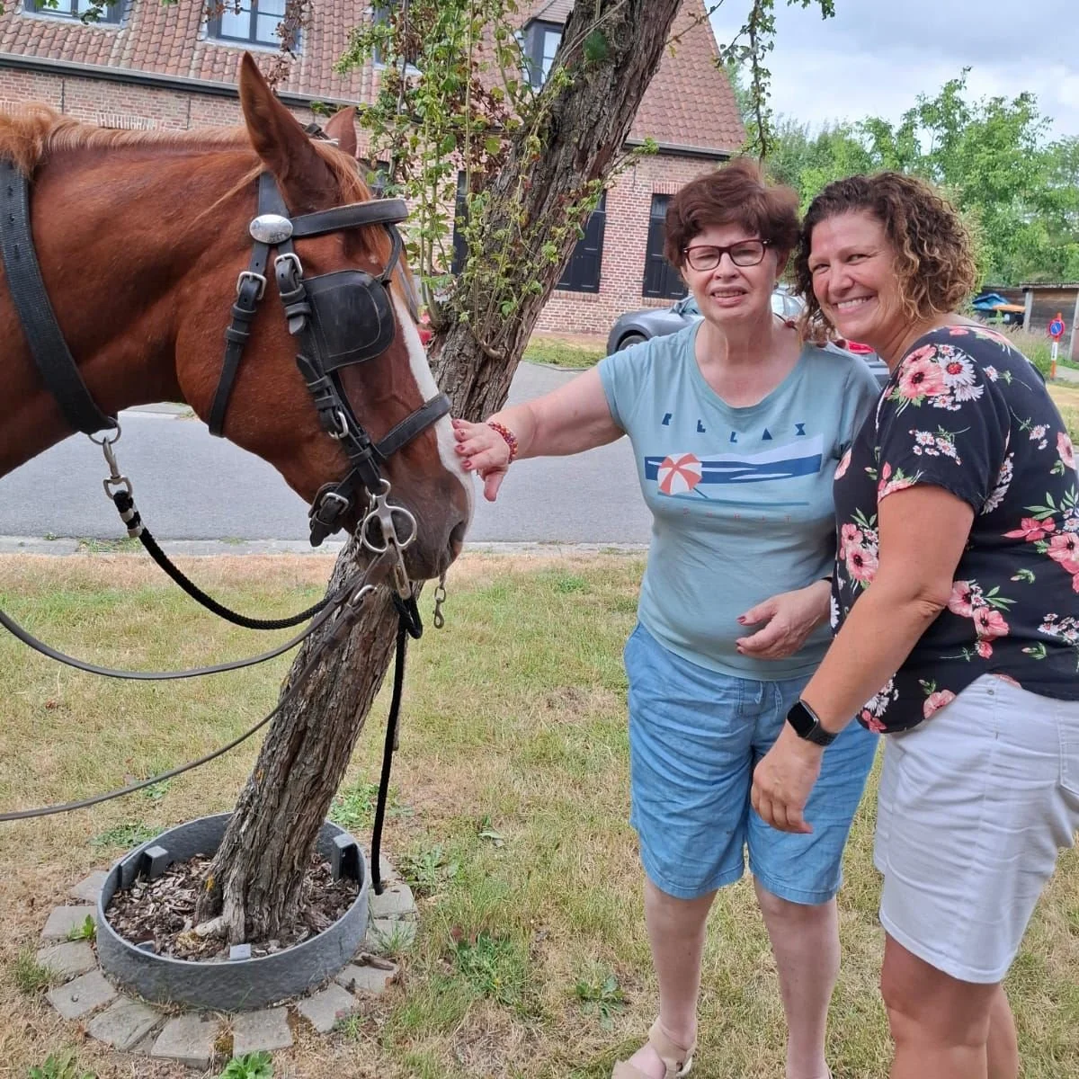 𝐄𝐞𝐧 𝐫𝐢𝐭𝐣𝐞 𝐯𝐨𝐥 𝐠𝐞𝐳𝐞𝐥𝐥𝐢𝐠𝐡𝐞𝐢𝐝!🐴

Wat een machtige namiddag! Enkele bewoners genoten van een gezellig koetsritje. 🥰 De eerste zenuwen maakten al snel plaats voor grote glimlachen. En ook wie liever niet meerijdt, genoot van de kn