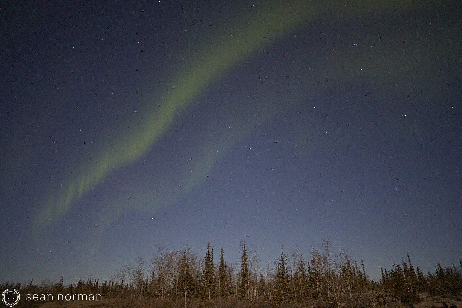 Yellowknife Aurora Guide - Northern Lights Viewing Tour -  31.jpg