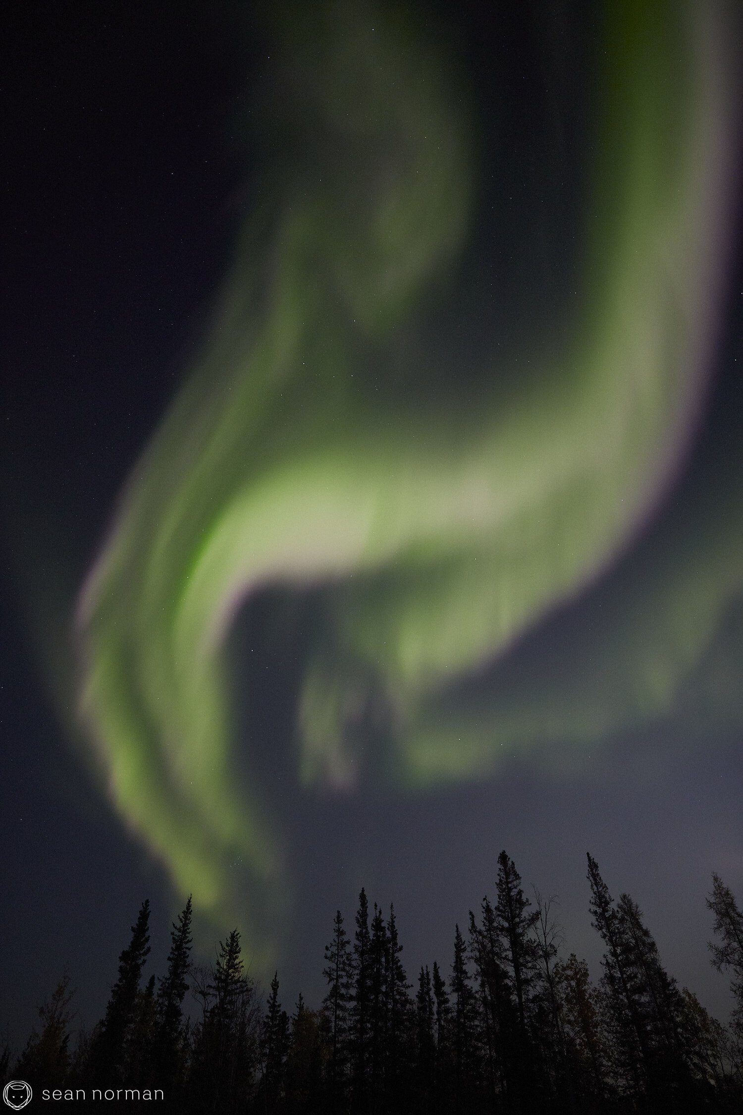 Yellowknife Aurora Guide - Northern Lights September Yellowknife -  07.jpg