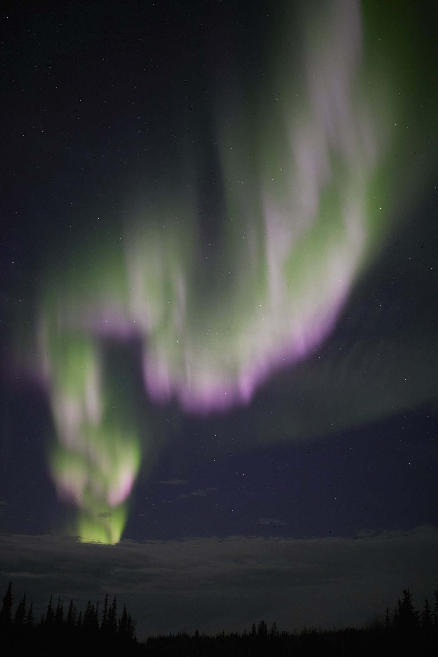 Sean Norman - Yellowknife Aurora Guide - Best of 2018 Aurora Photos - 34.jpg