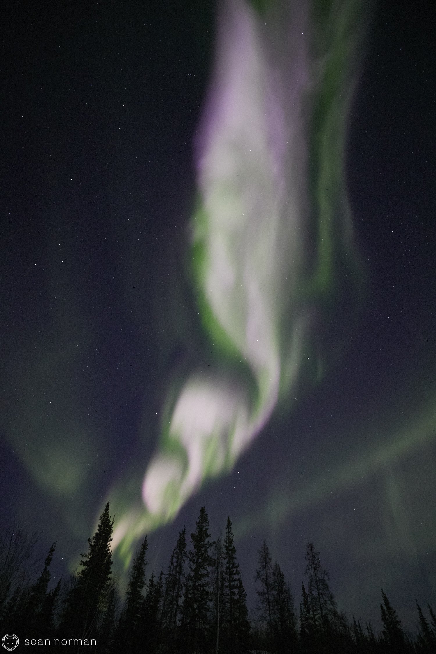 Yellowknife Aurora Tour - Northern Lights Canada - 26.jpg