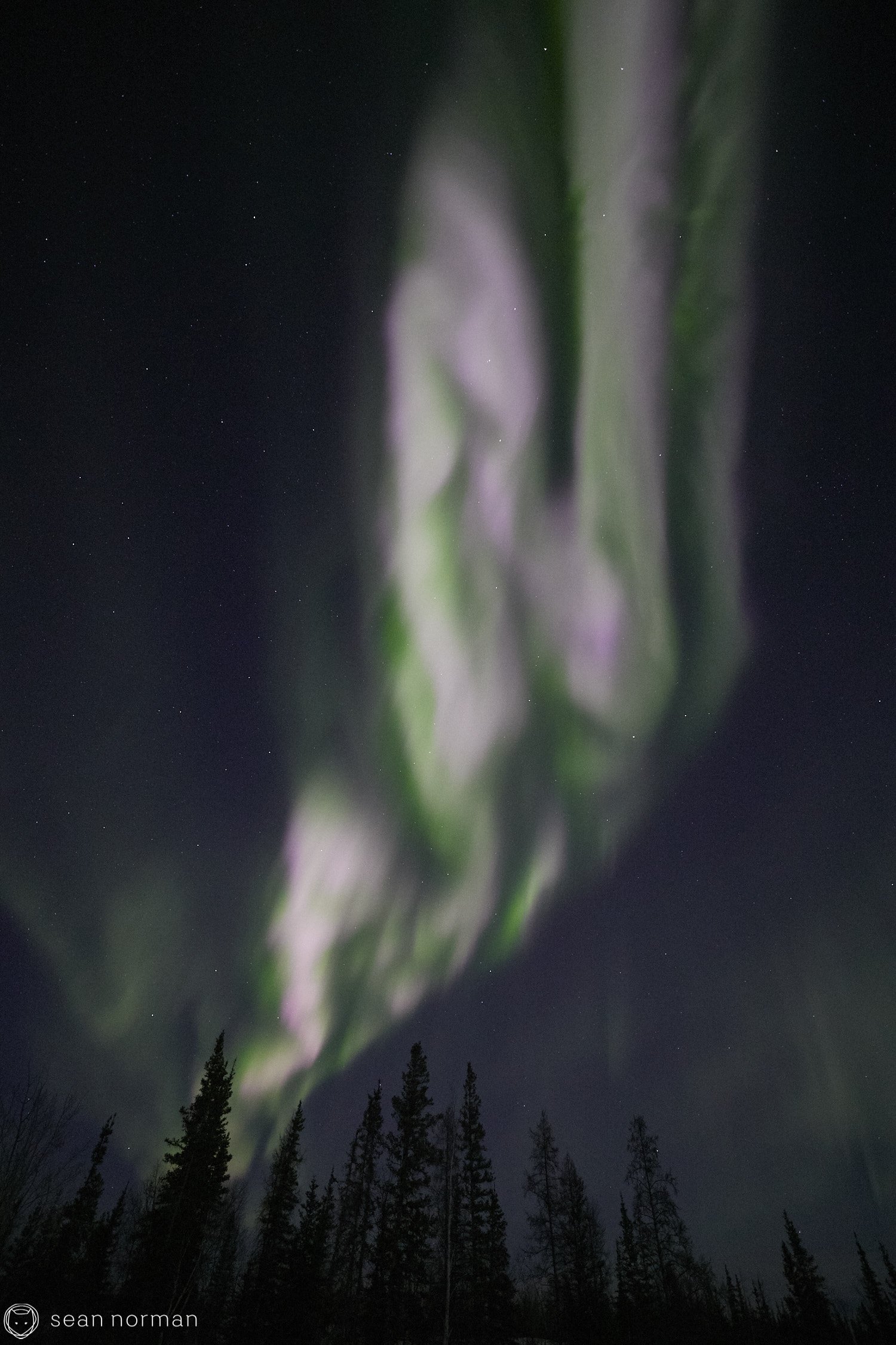 Yellowknife Aurora Tour - Northern Lights Canada - 27.jpg