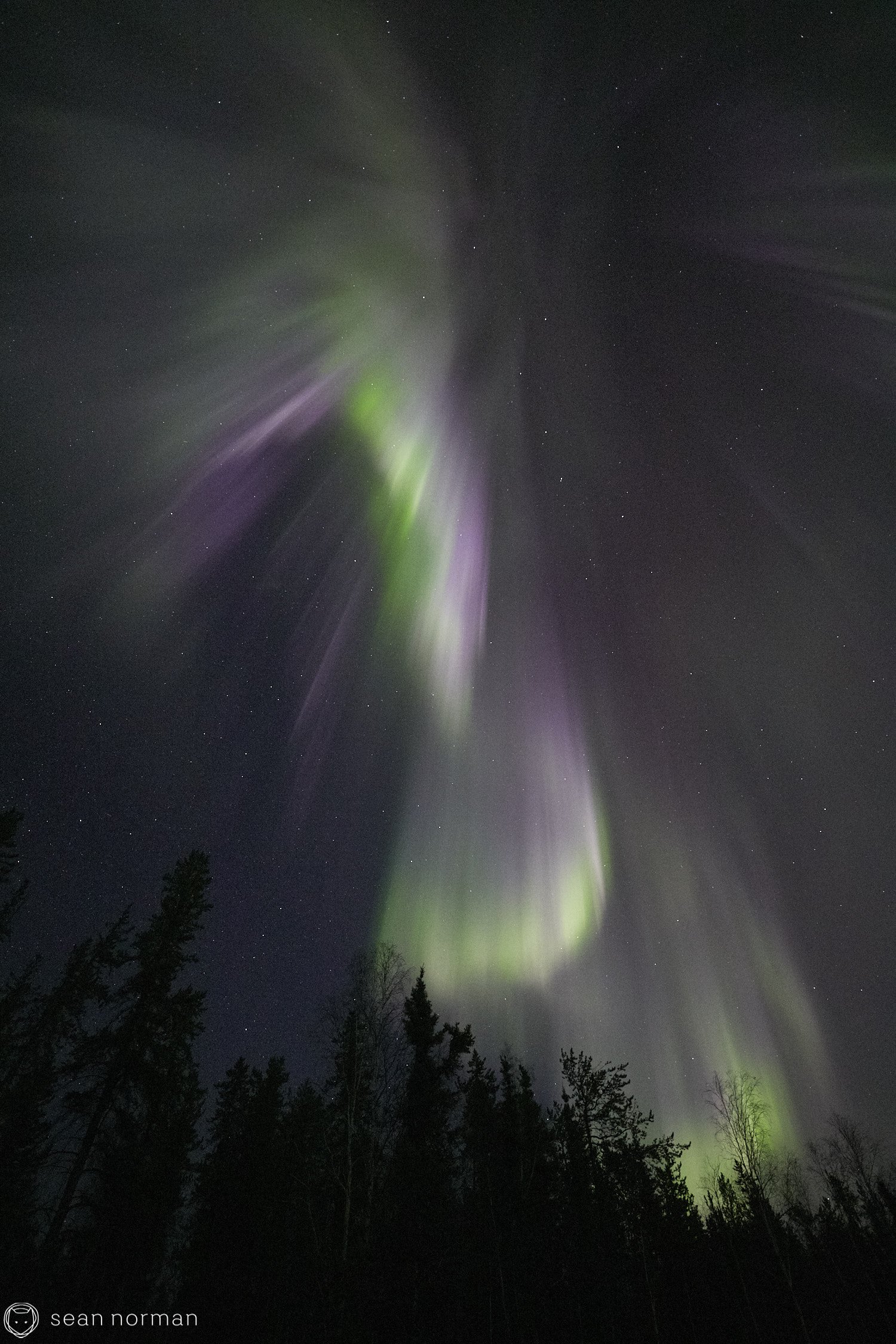 Yellowknife Aurora Tour - Northern Lights Canada - 04.jpg