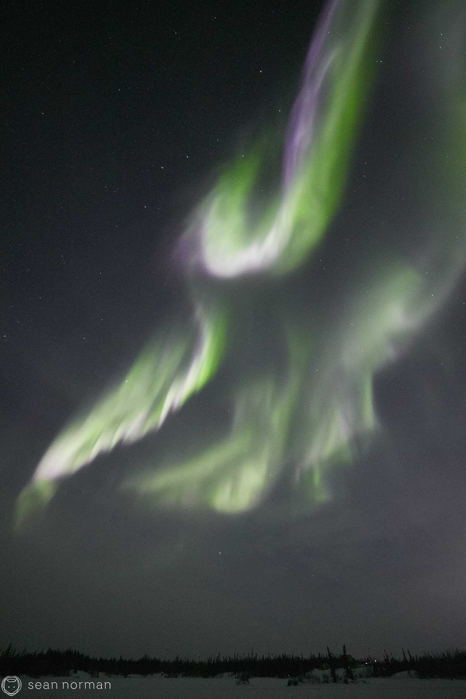 Yellowknife Aurora Tour Guide - Northern Light Photography - Aurora Chaser - 17.jpg