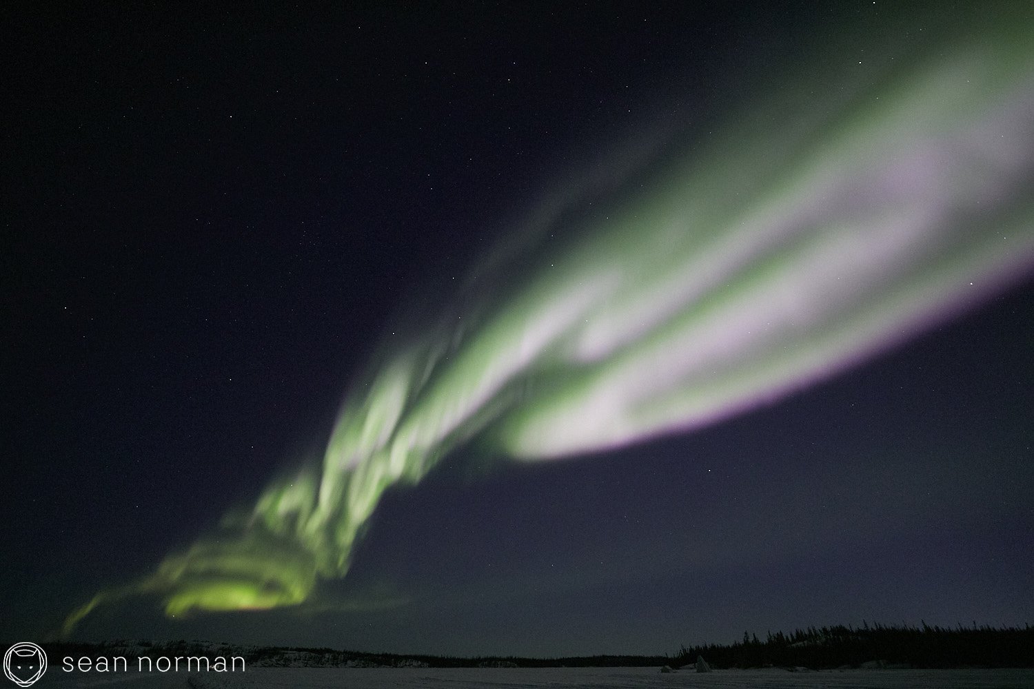 Yellowknife Aurora Tour Guide - Northern Light Photography - Aurora Chaser - 07.jpg