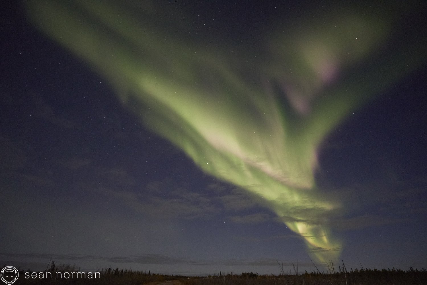 Yellowknife Aurora Tour - Canada Northern Lights Guide Photographer - 5.jpg