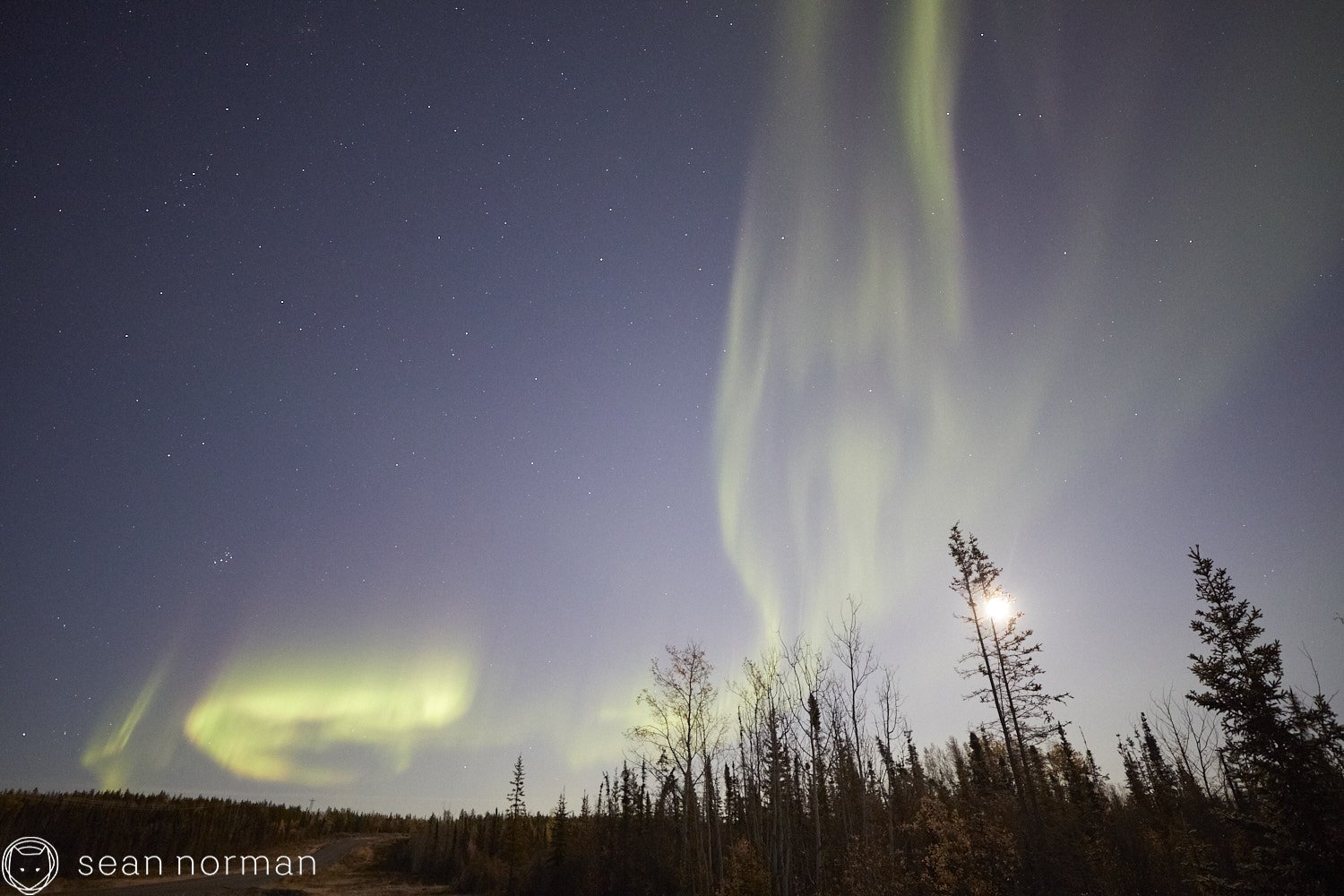 Yellowknife Aurora Tour - Canada Northern Lights Guide Photographer - 2.jpg