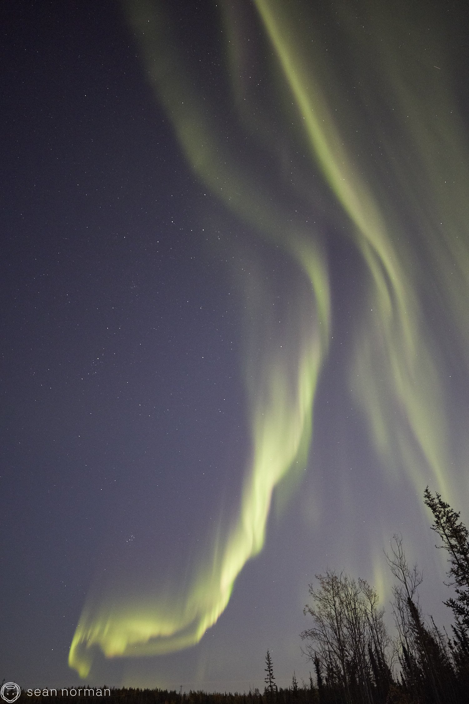 Yellowknife Aurora Tour - Canada Northern Lights Guide Photographer - 3.jpg