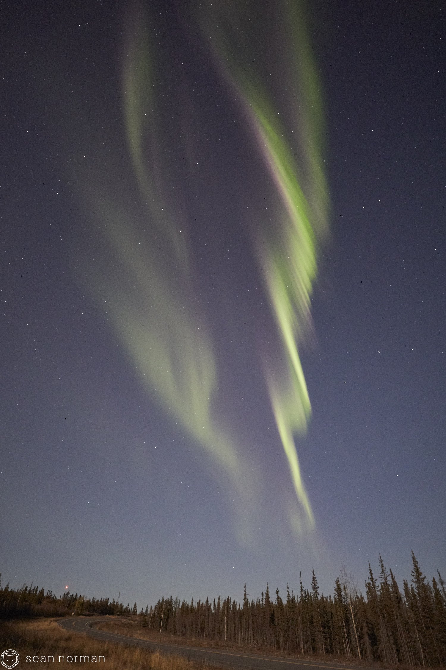 Yellowknife Aurora Tour - Canada Northern Lights Guide Photographer - 4.jpg