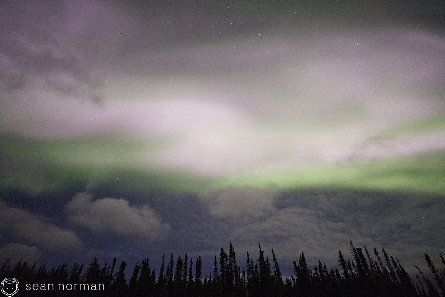 Yellowknife Aurora Tour - Northern Lights Yellowknife - 04.jpg